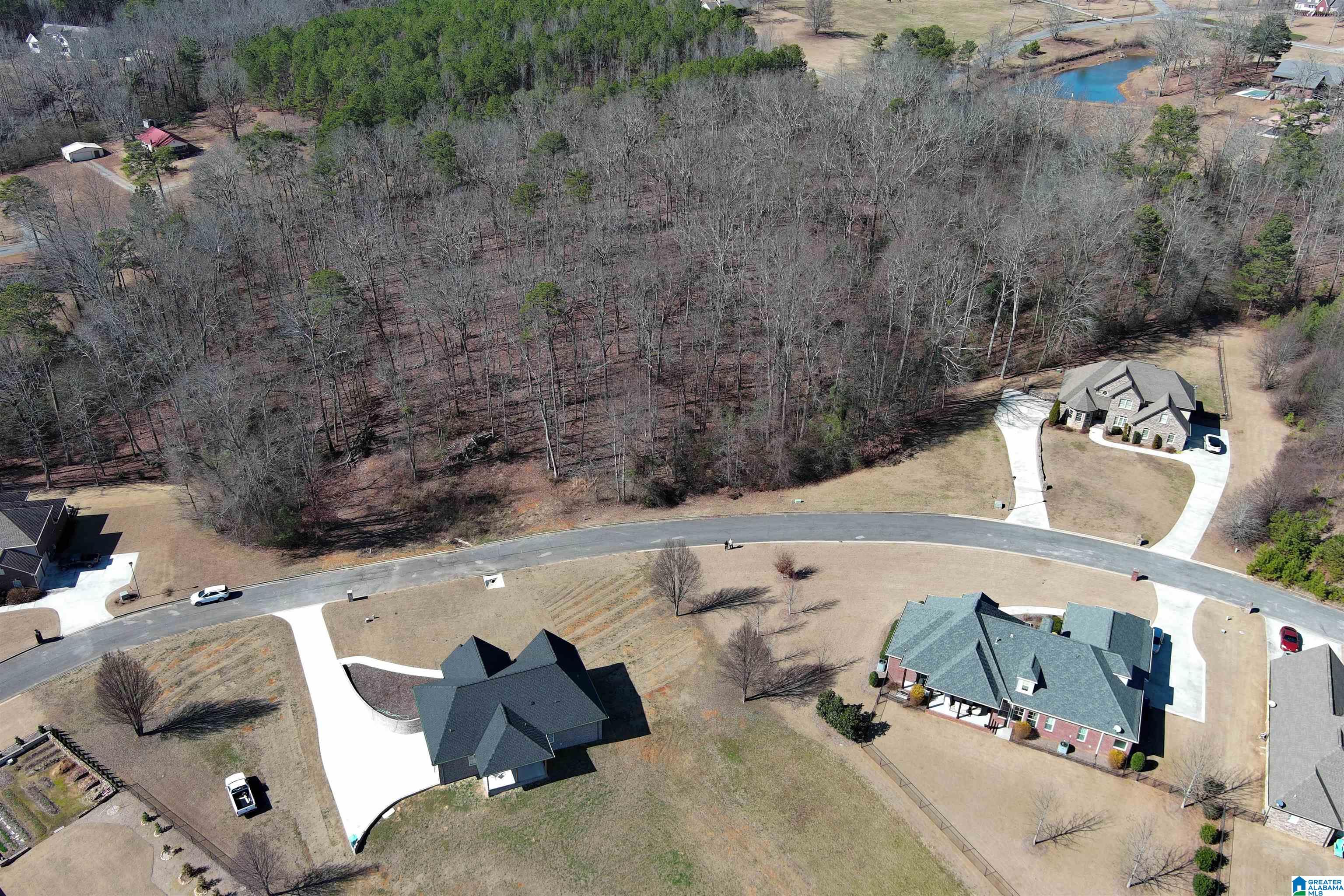 Homes for sale in Warrior, AL | 0 Ashbury Dr, Warrior, AL 35180 | MLS# 21410304