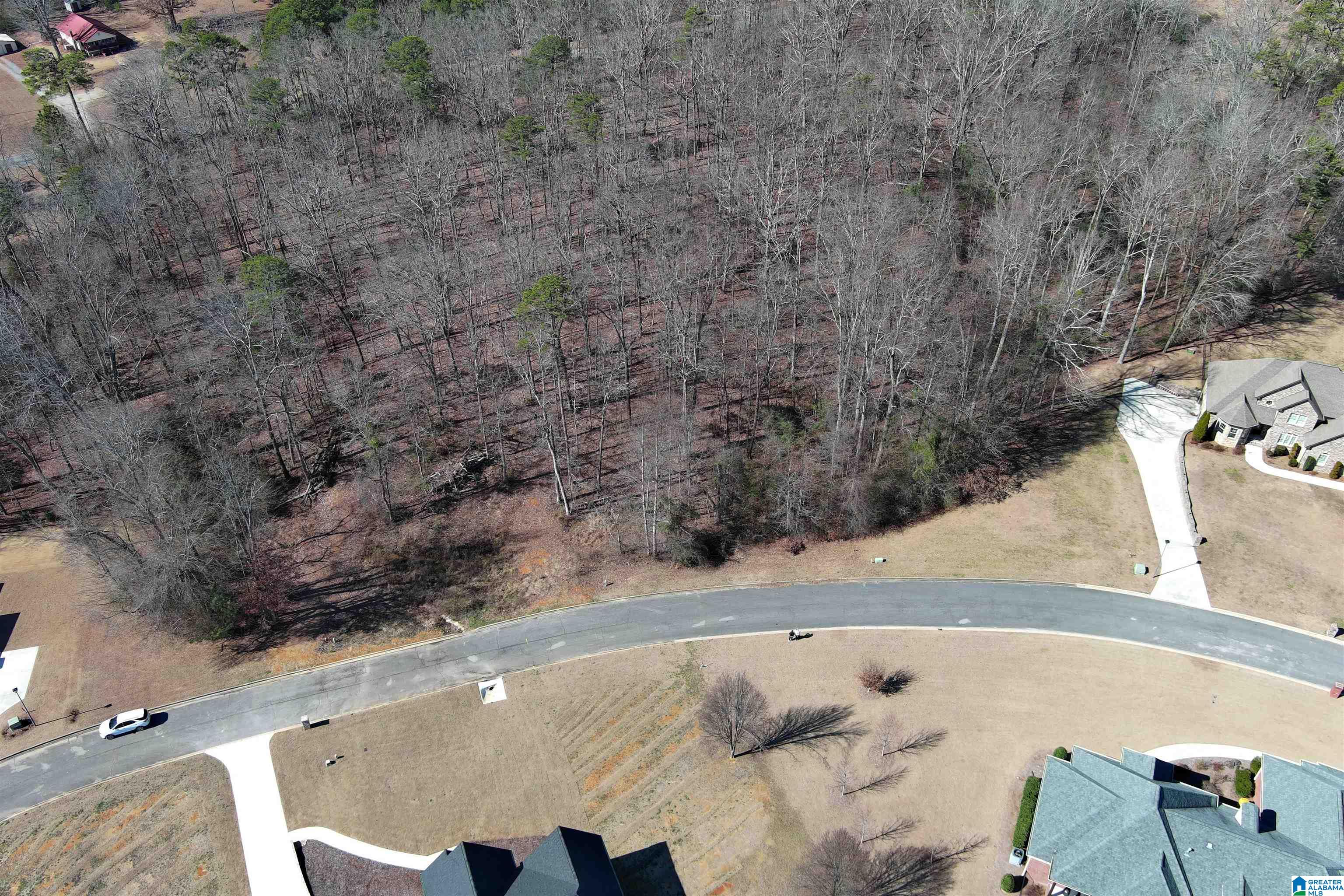 Homes for sale in Warrior, AL | 0 Ashbury Dr, Warrior, AL 35180 | MLS# 21410304