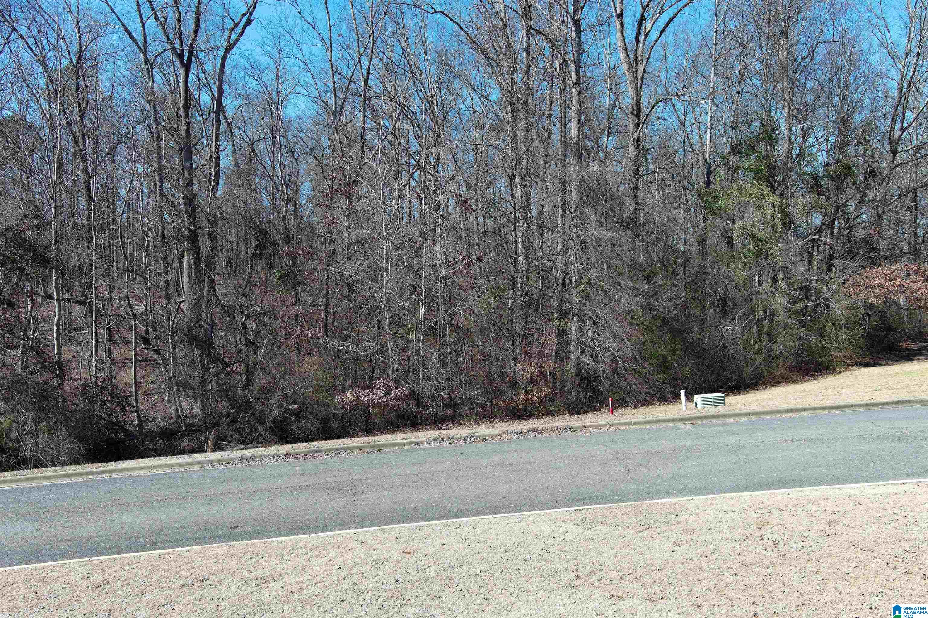 Homes for sale in Warrior, AL | 0 Ashbury Dr, Warrior, AL 35180 | MLS# 21410304