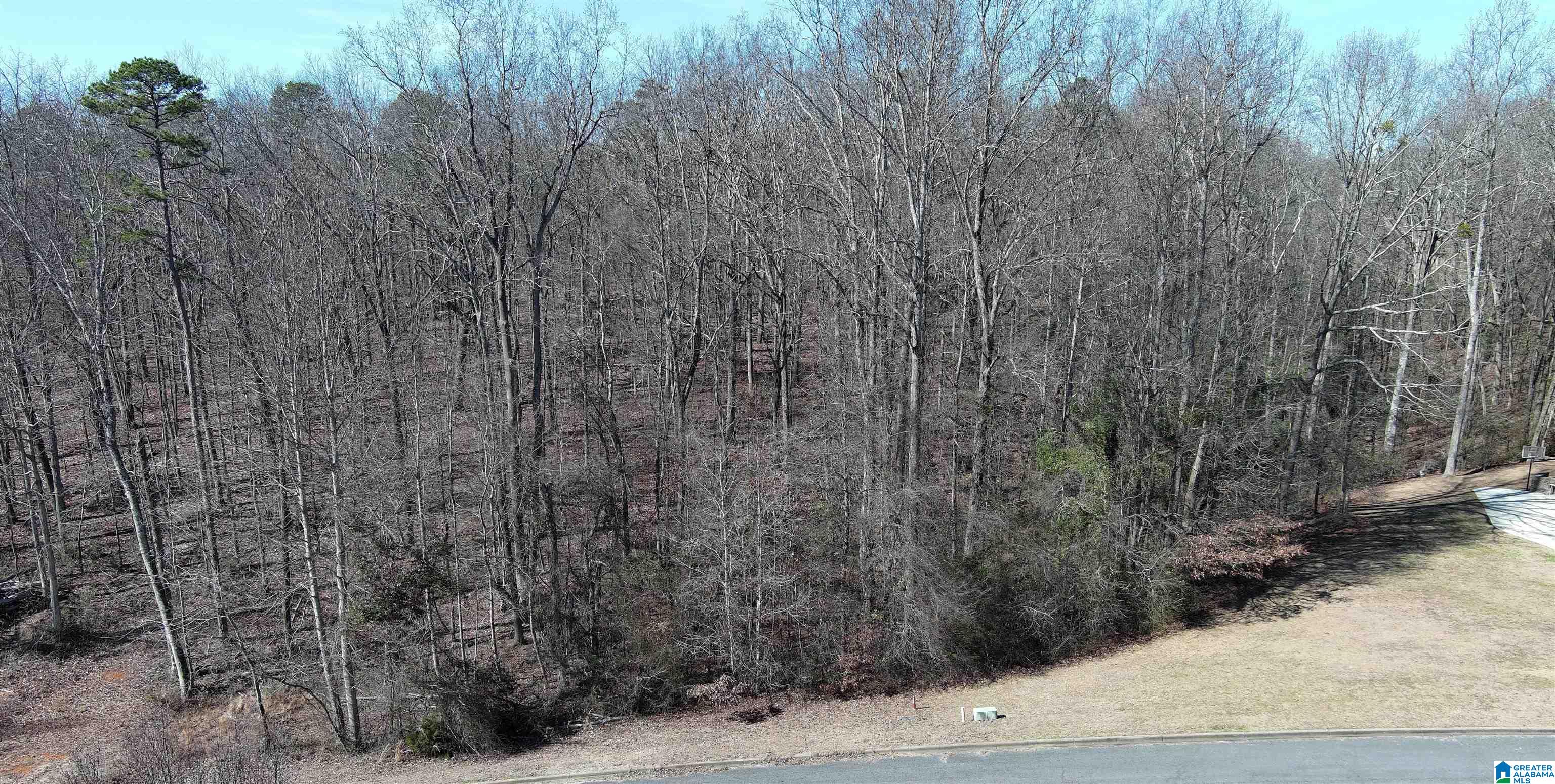 Homes for sale in Warrior, AL | 0 Ashbury Dr, Warrior, AL 35180 | MLS# 21410304