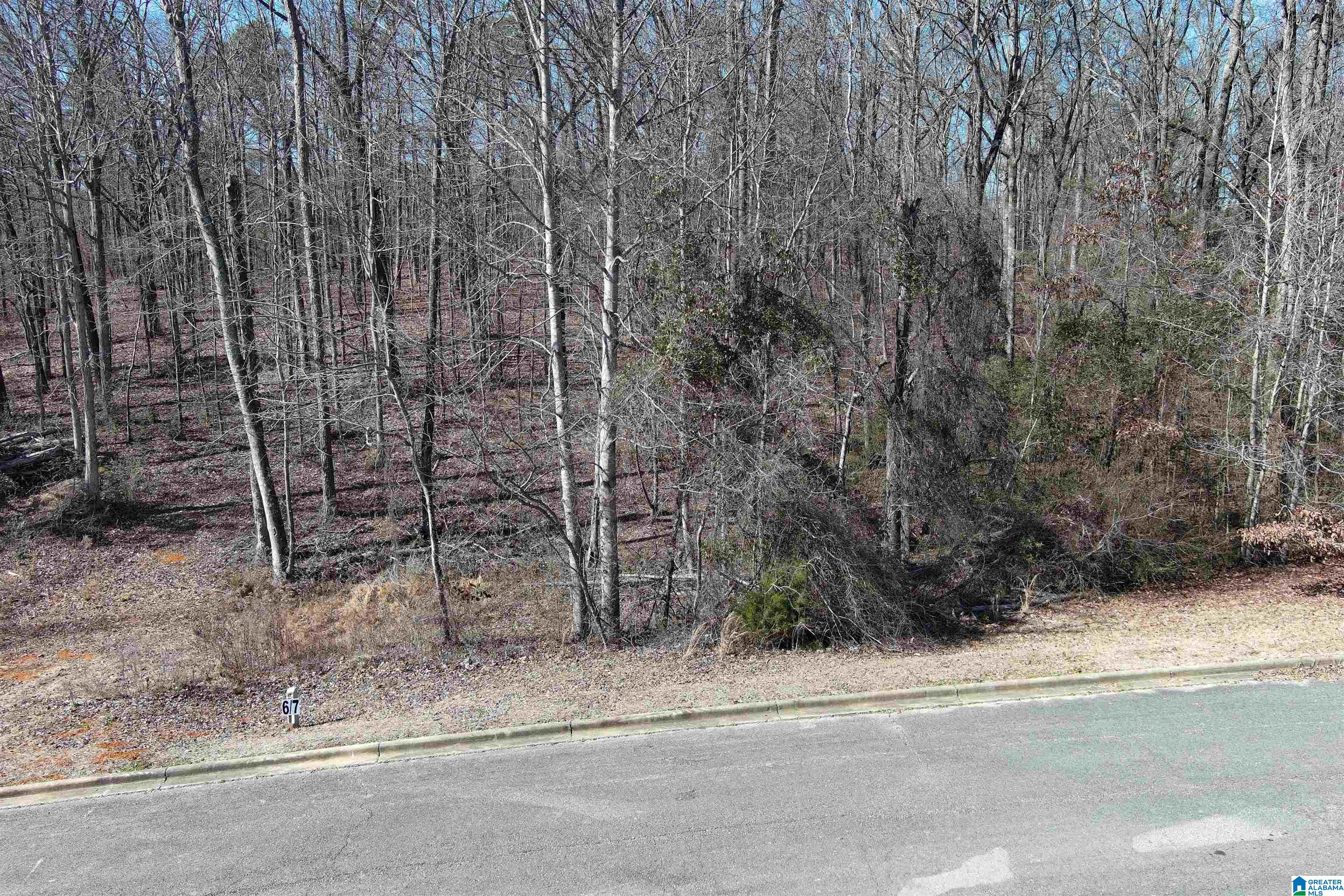 Homes for sale in Warrior, AL | 0 Ashbury Dr, Warrior, AL 35180 | MLS# 21410304