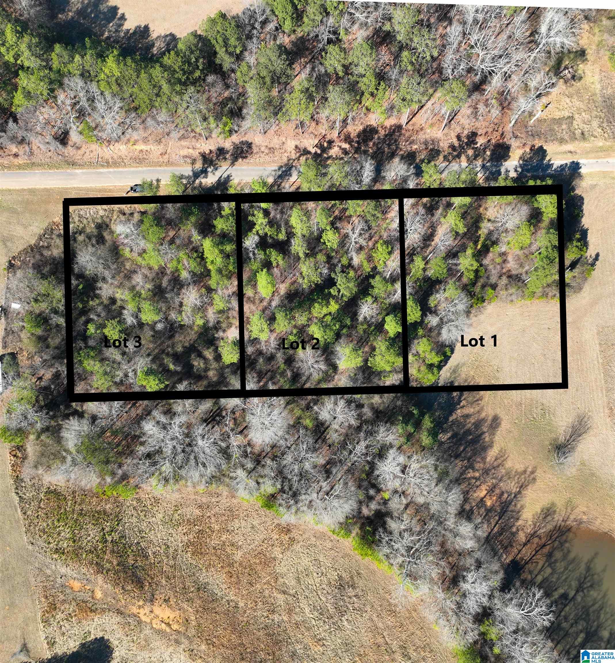 Homes for sale in Thorsby, AL | 0 Old West Road, Thorsby, AL 35171 | MLS# 21410719