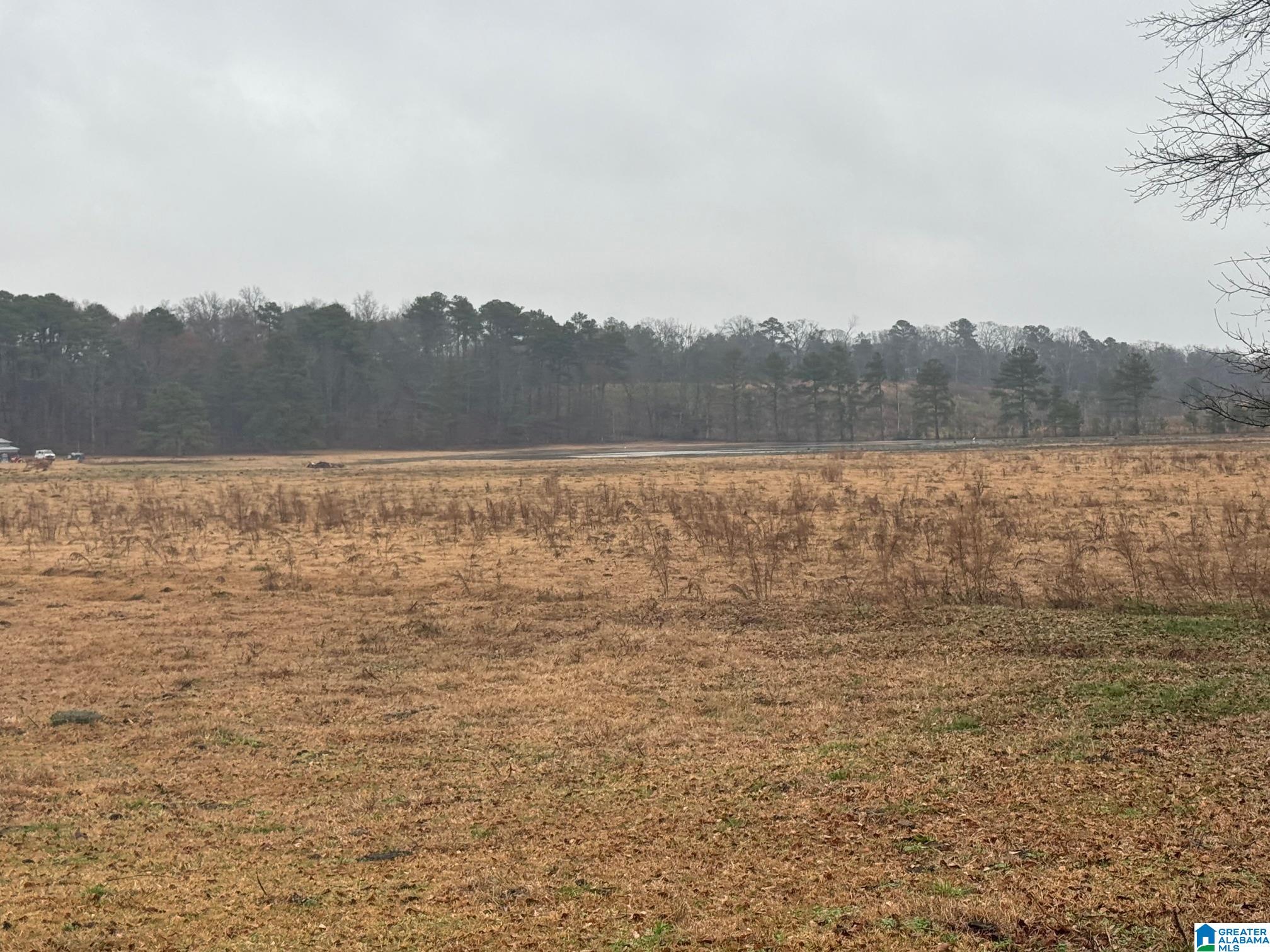 Homes for sale in Cropwell, AL | 0 Logan Martin Dam Road, Cropwell, AL 35054 | MLS# 21410980