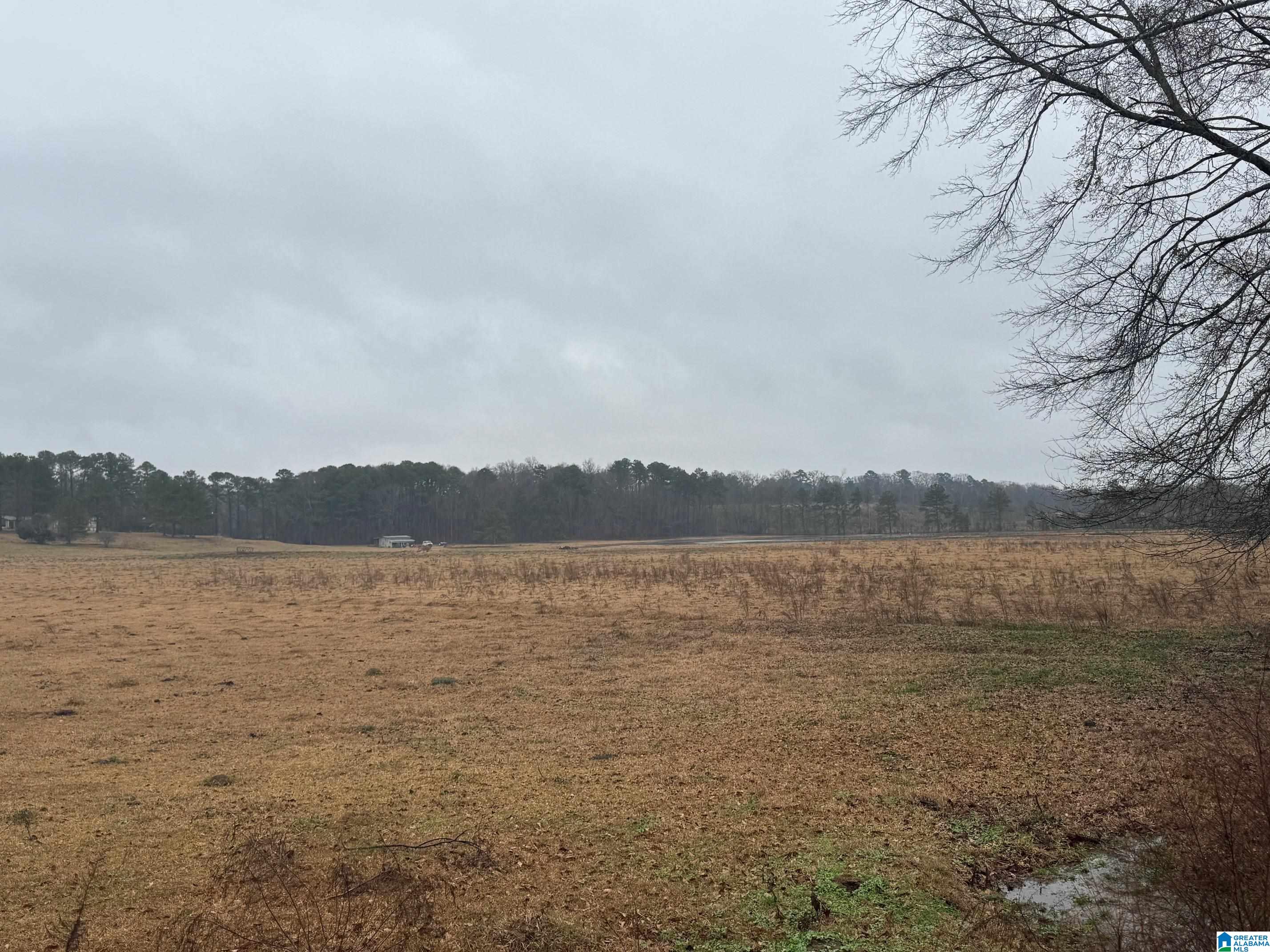 Homes for sale in Cropwell, AL | 0 Logan Martin Dam Road, Cropwell, AL 35054 | MLS# 21410980