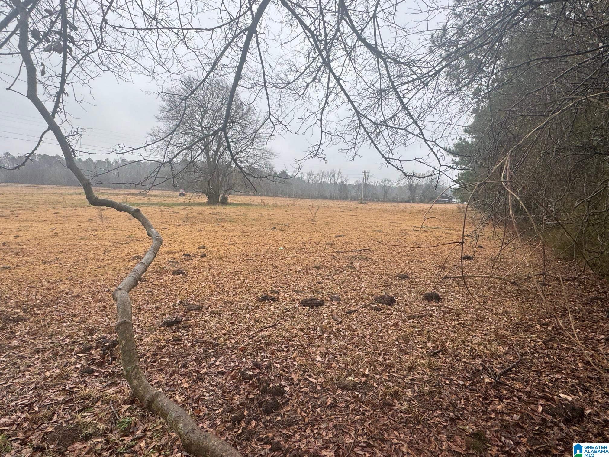 Homes for sale in Cropwell, AL | 0 Logan Martin Dam Road, Cropwell, AL 35054 | MLS# 21410980