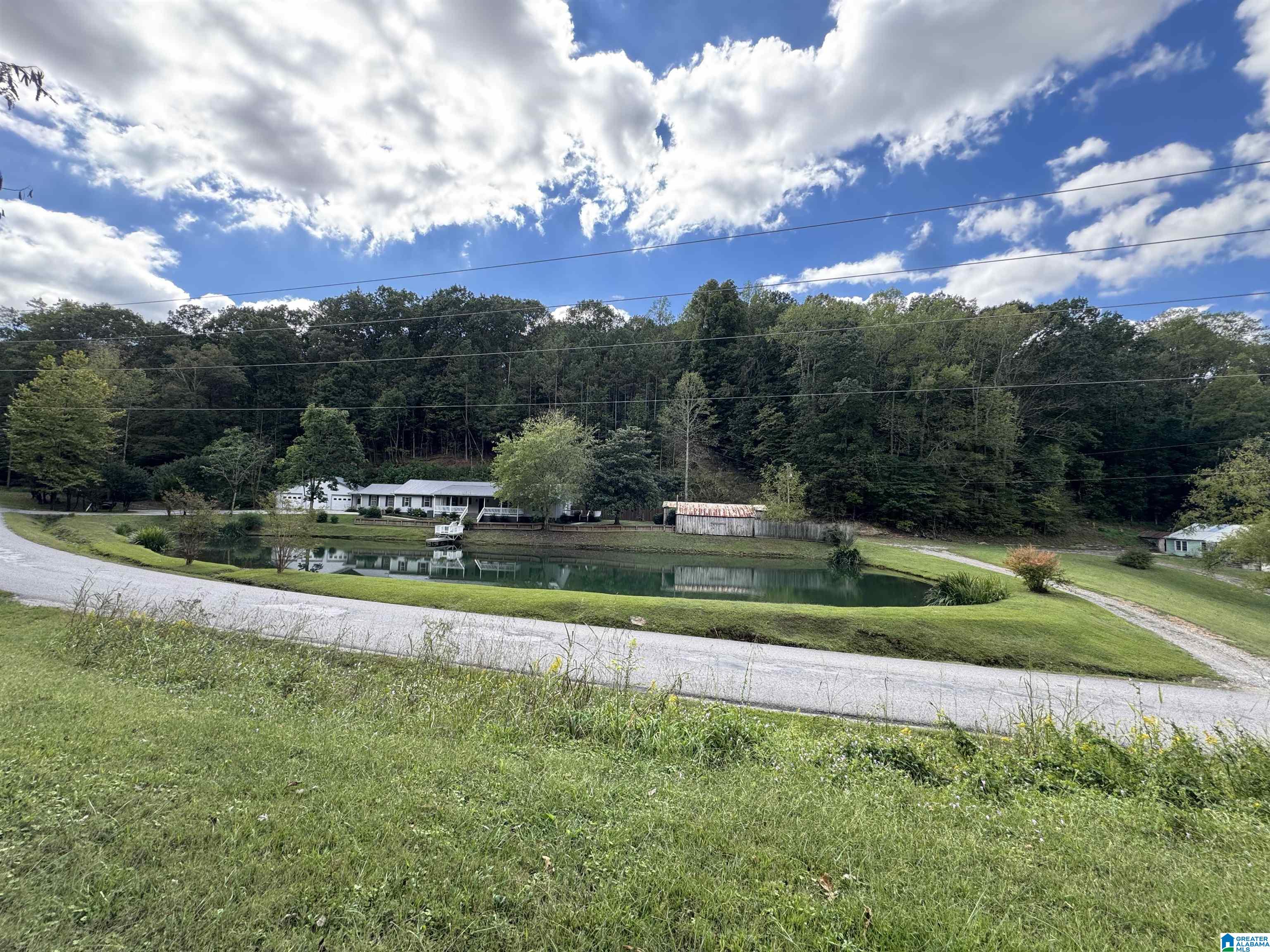 1007 ROCKY HOLLOW ROAD