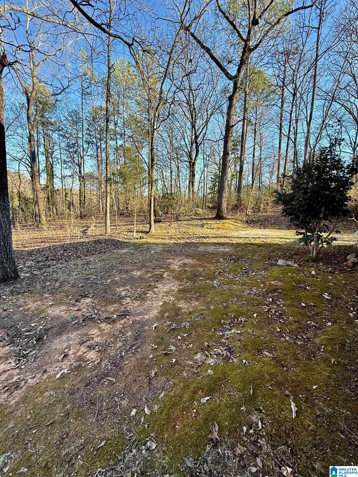 Homes for sale in Talladega, AL | 103 Forest Hills Circle, Talladega, AL 35160 | MLS# 21411026