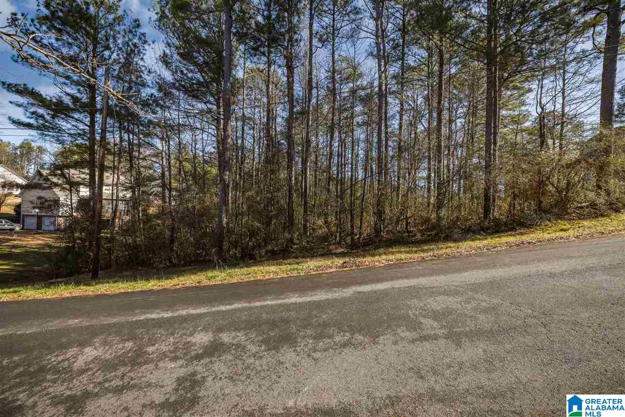 Homes for sale in Oneonta, AL | 0 Scenic Trail, Oneonta, AL 35121 | MLS# 21411084
