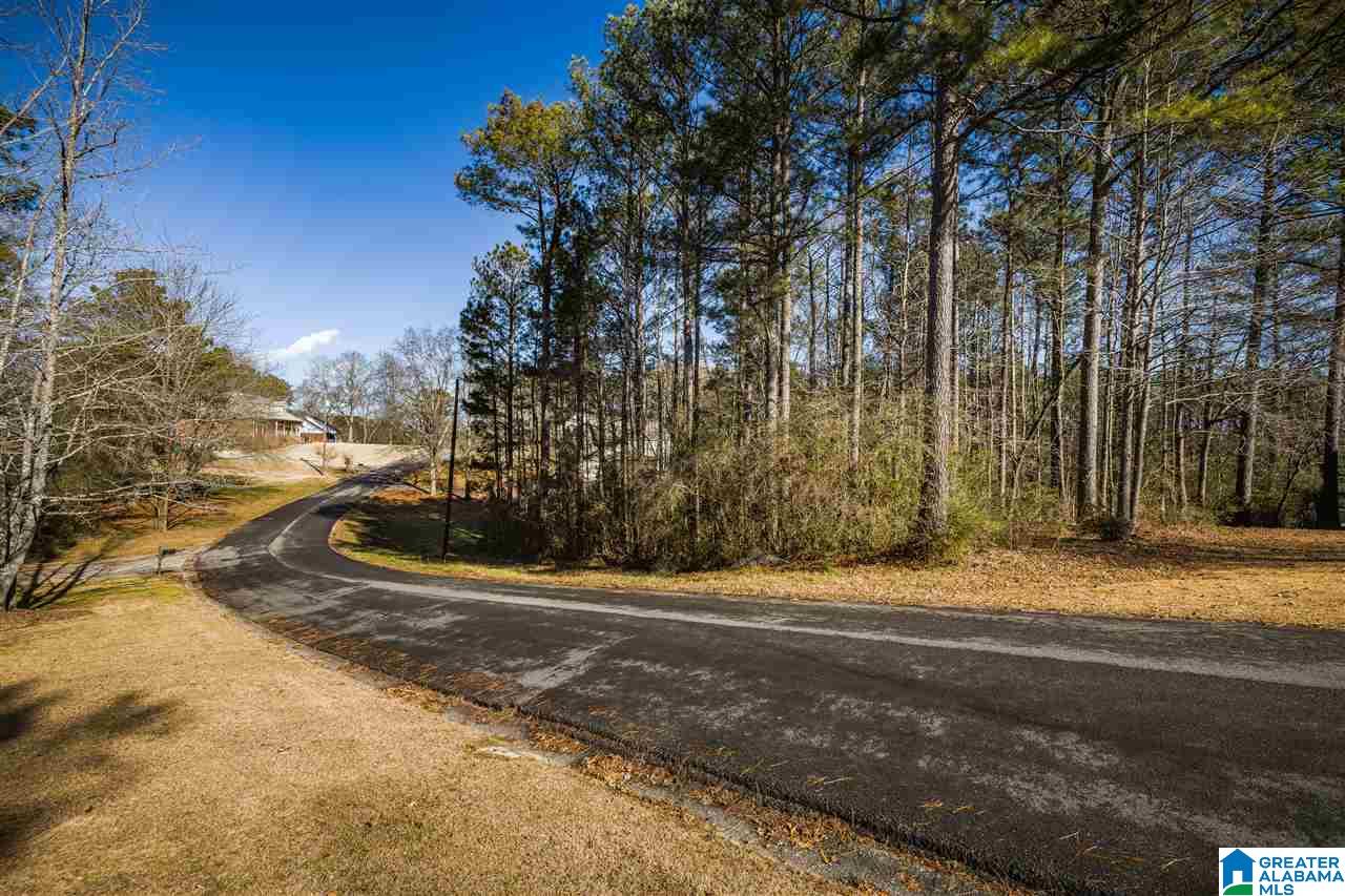 Homes for sale in Oneonta, AL | 0 Scenic Trail, Oneonta, AL 35121 | MLS# 21411084