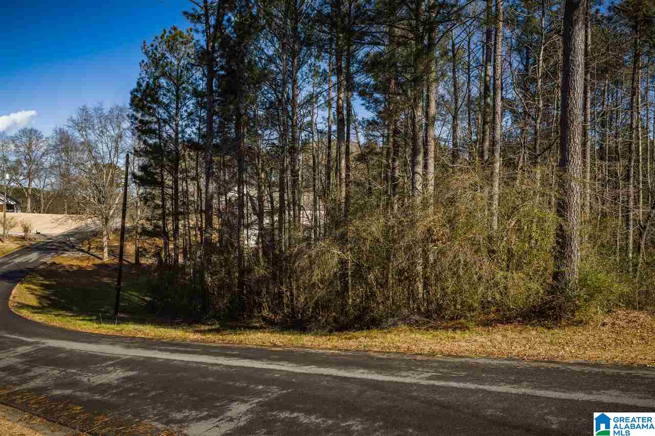 Homes for sale in Oneonta, AL | 0 Scenic Trail, Oneonta, AL 35121 | MLS# 21411084