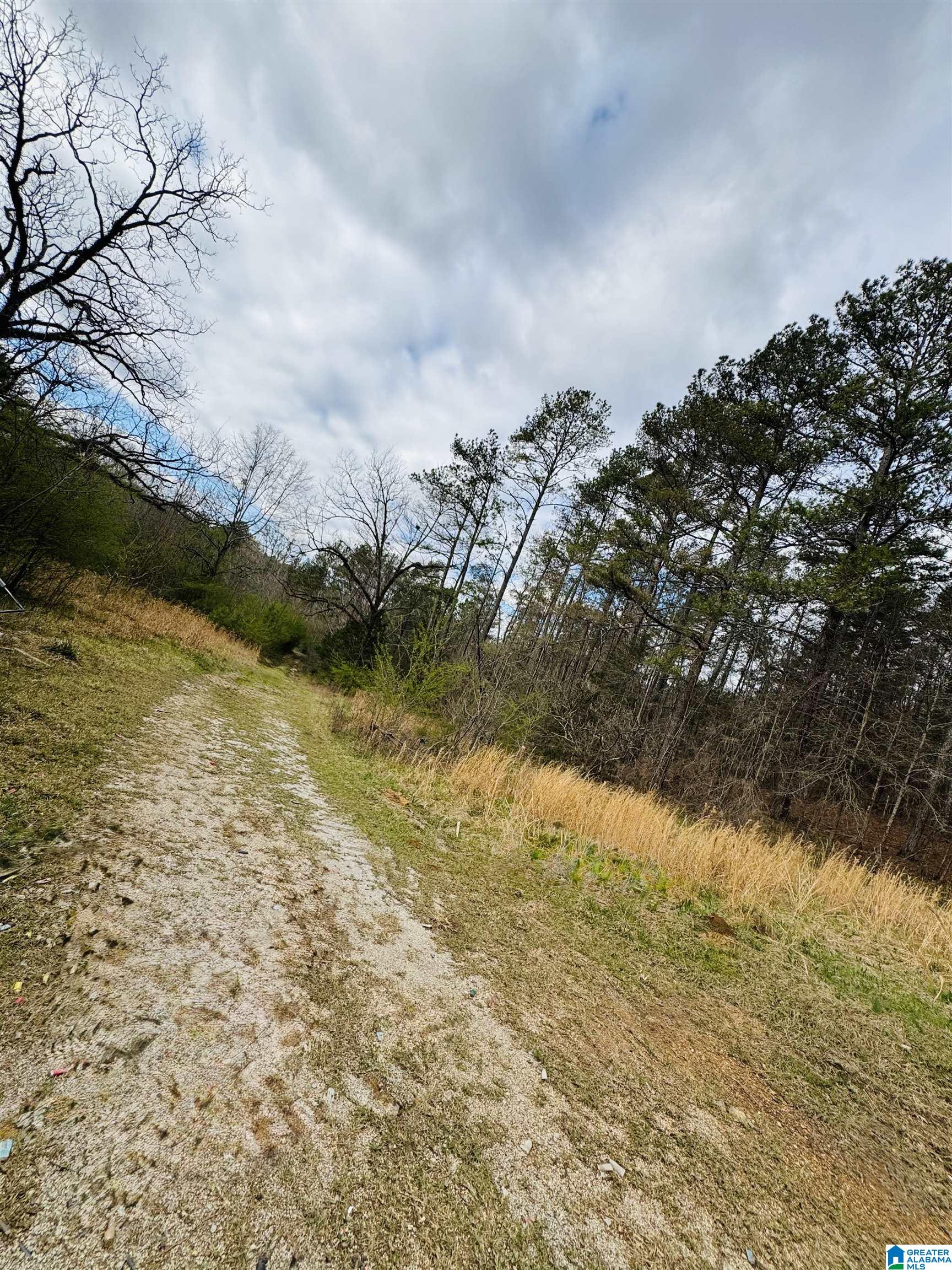 Homes for sale in Chelsea, AL | 10 Mountain Crest Road, Chelsea, AL 35043 | MLS# 21411408