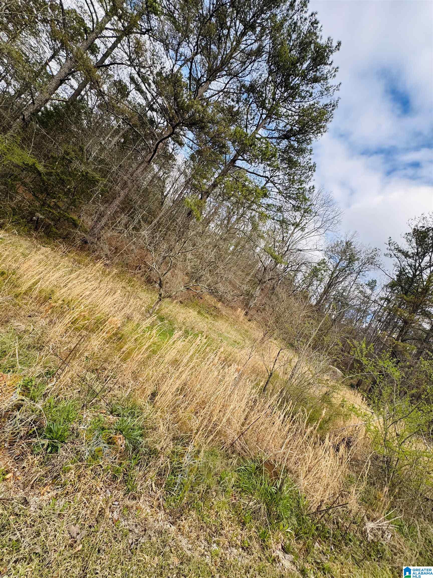 Homes for sale in Chelsea, AL | 10 Mountain Crest Road, Chelsea, AL 35043 | MLS# 21411408