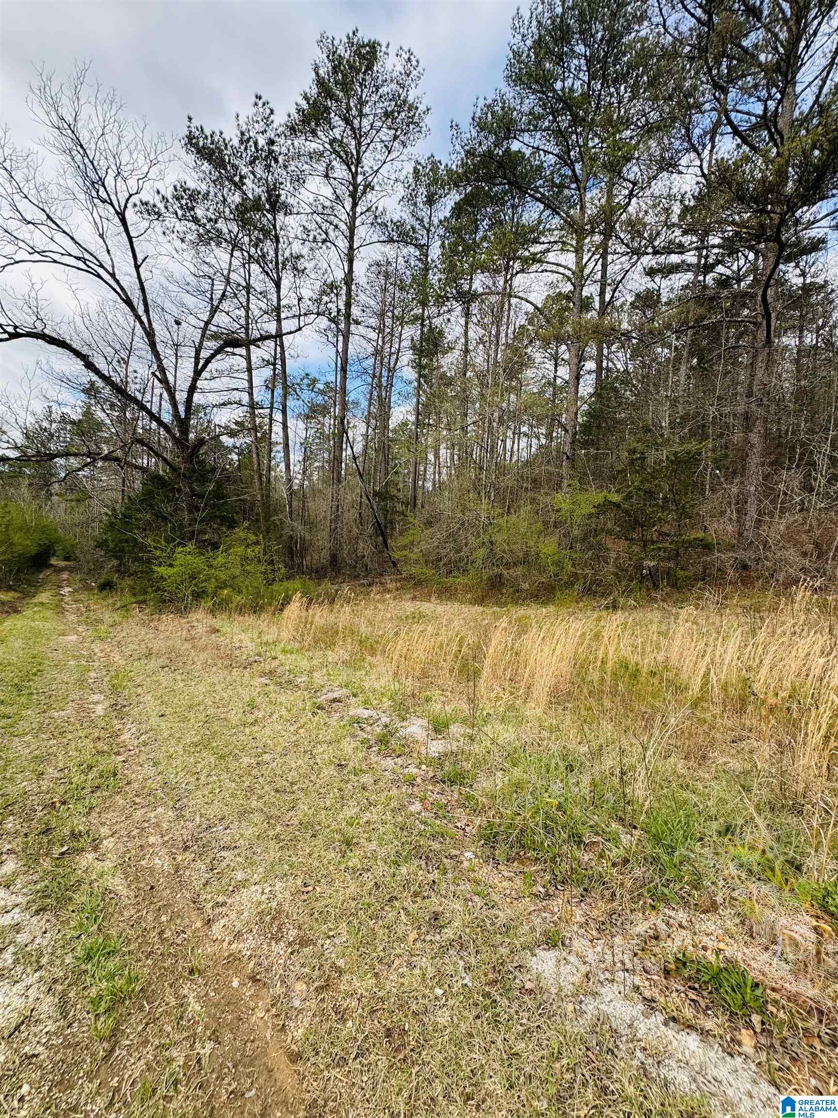 Homes for sale in Chelsea, AL | 10 Mountain Crest Road, Chelsea, AL 35043 | MLS# 21411408