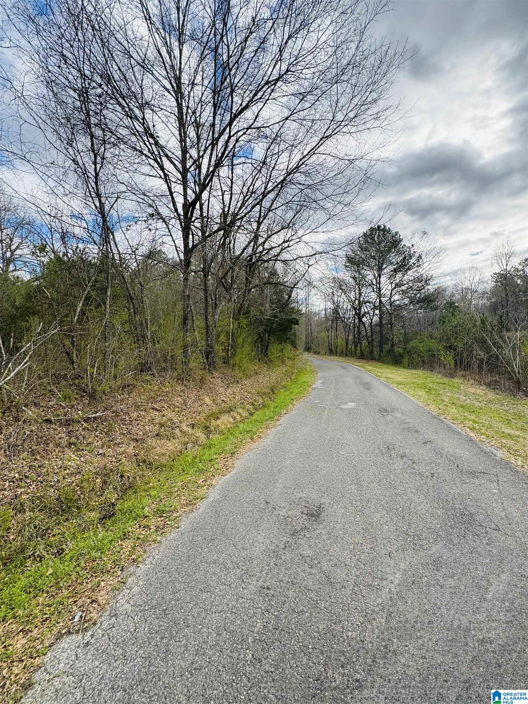 Homes for sale in Chelsea, AL | 10 Mountain Crest Road, Chelsea, AL 35043 | MLS# 21411408