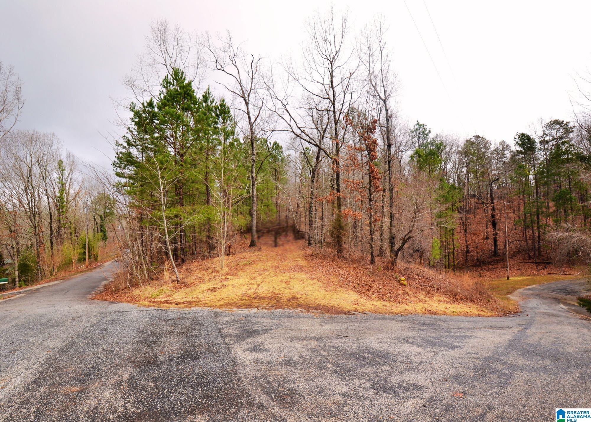 Lot 20 OAK HILLS DRIVE