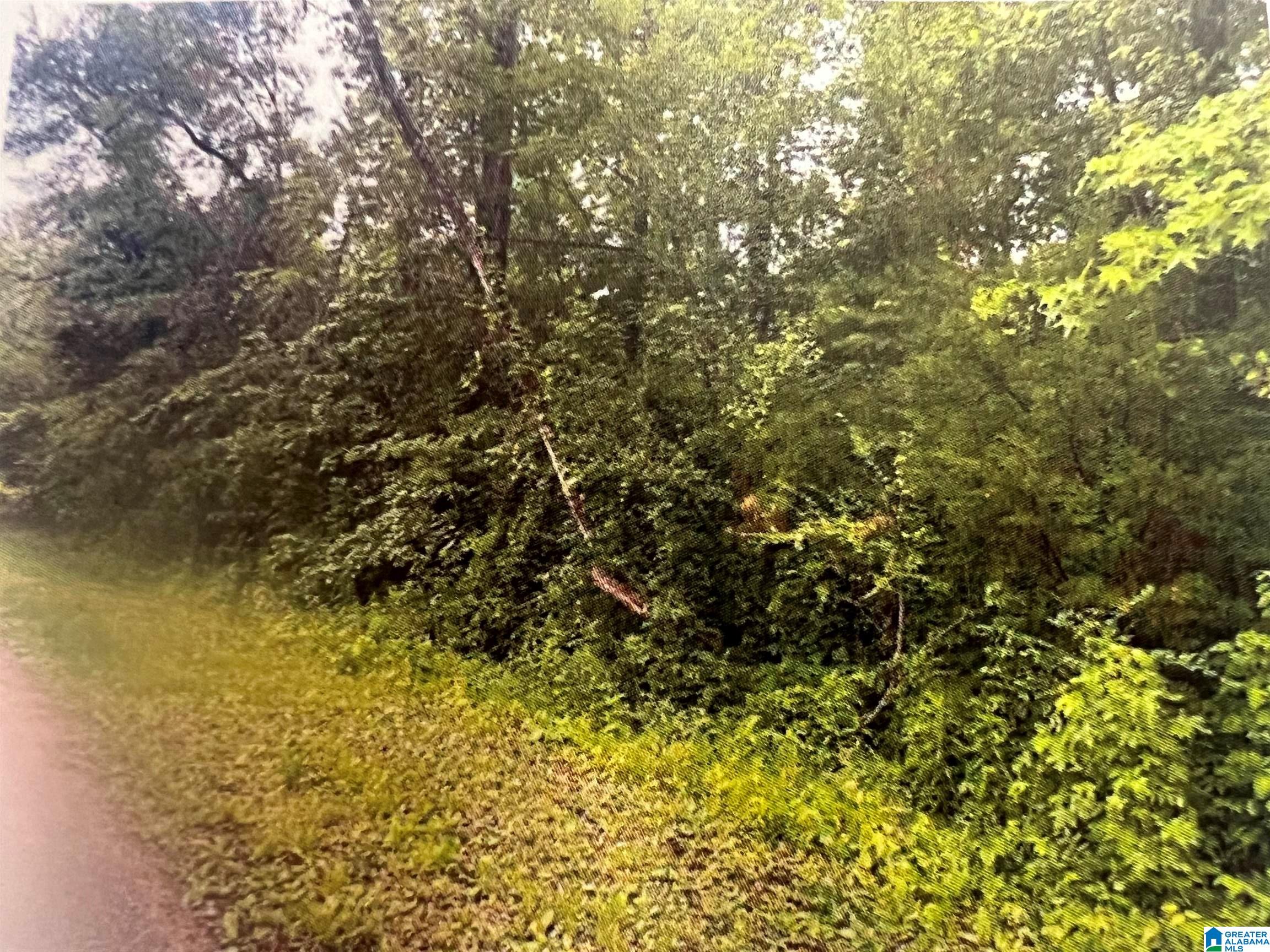 Homes for sale in Calera, AL | 11 And 12 19th Street, Calera, AL 35040 | MLS# 21411552