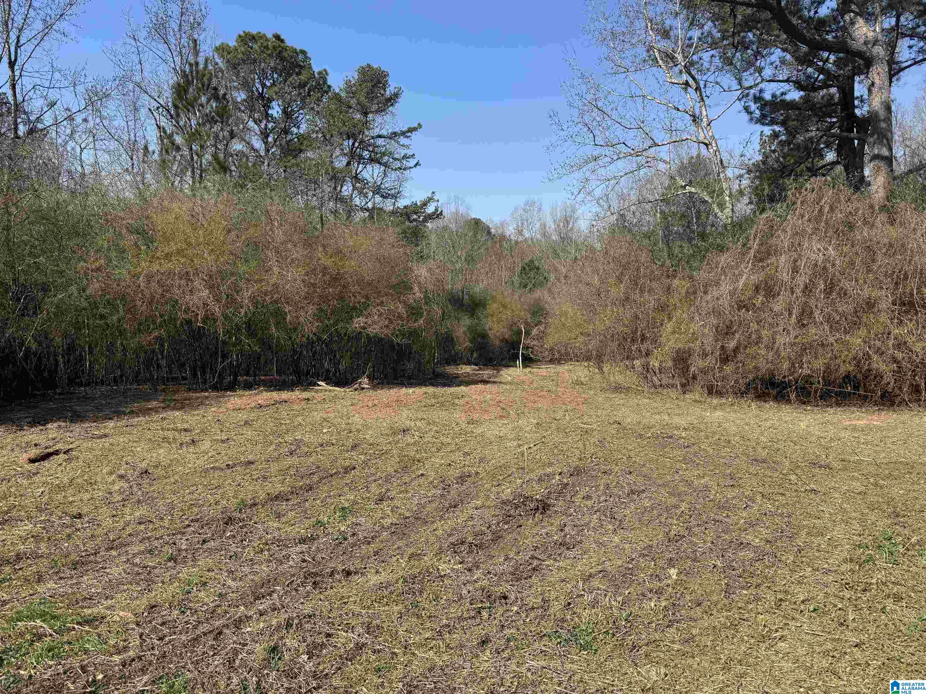 Lot 5 HIGHWAY 47