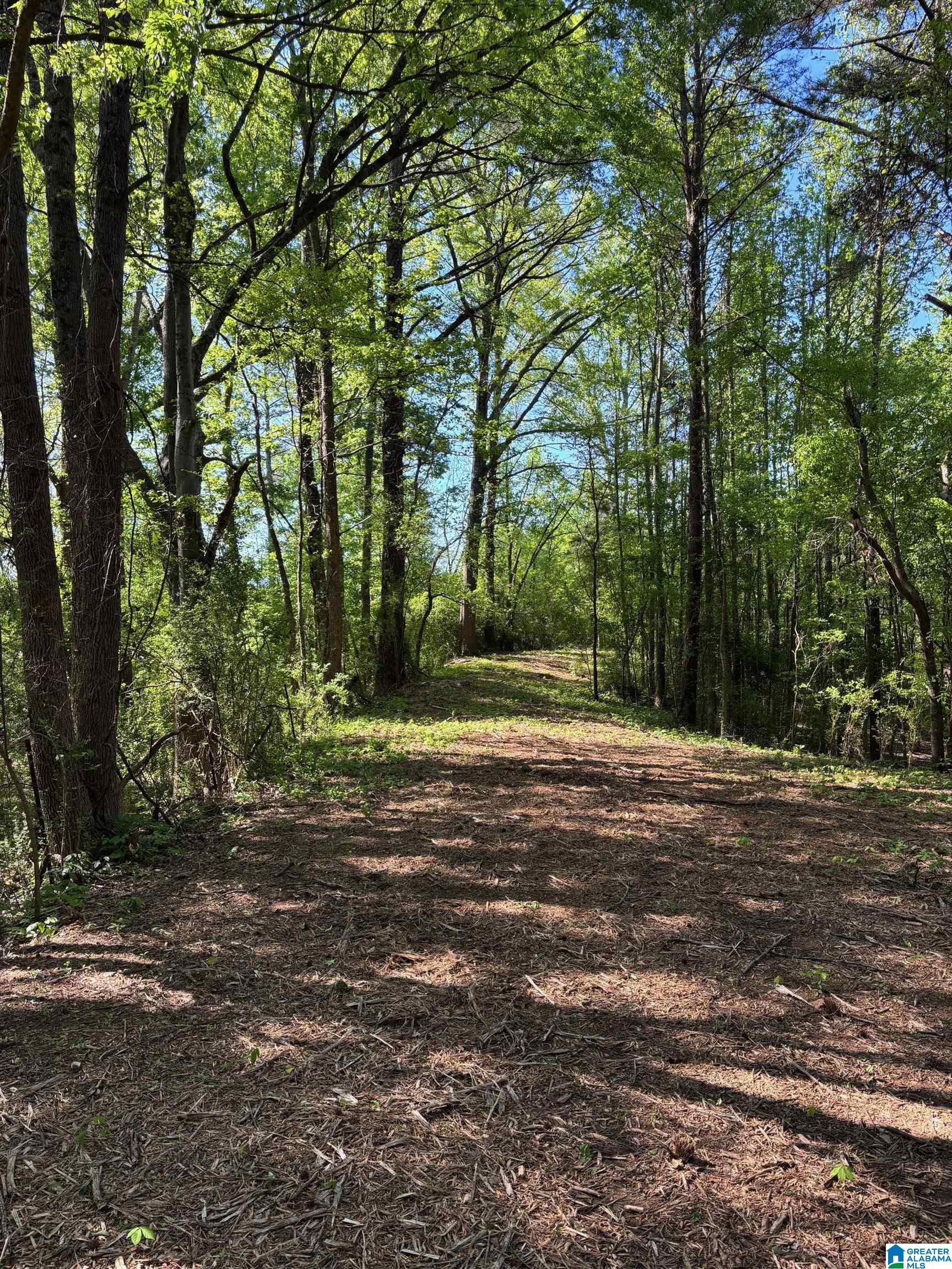 1401 COBB ROAD