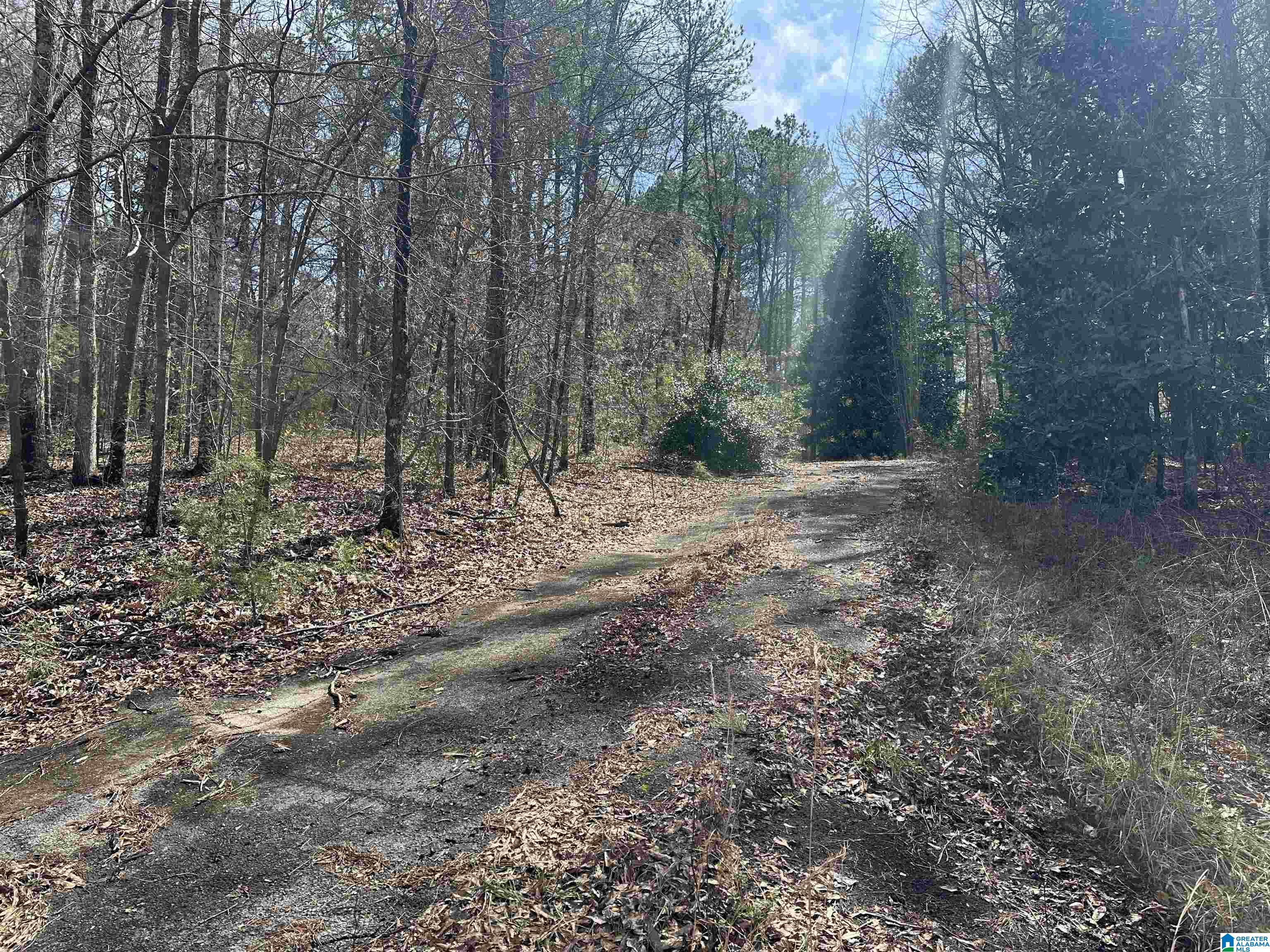 0 DEARMANVILLE ROAD