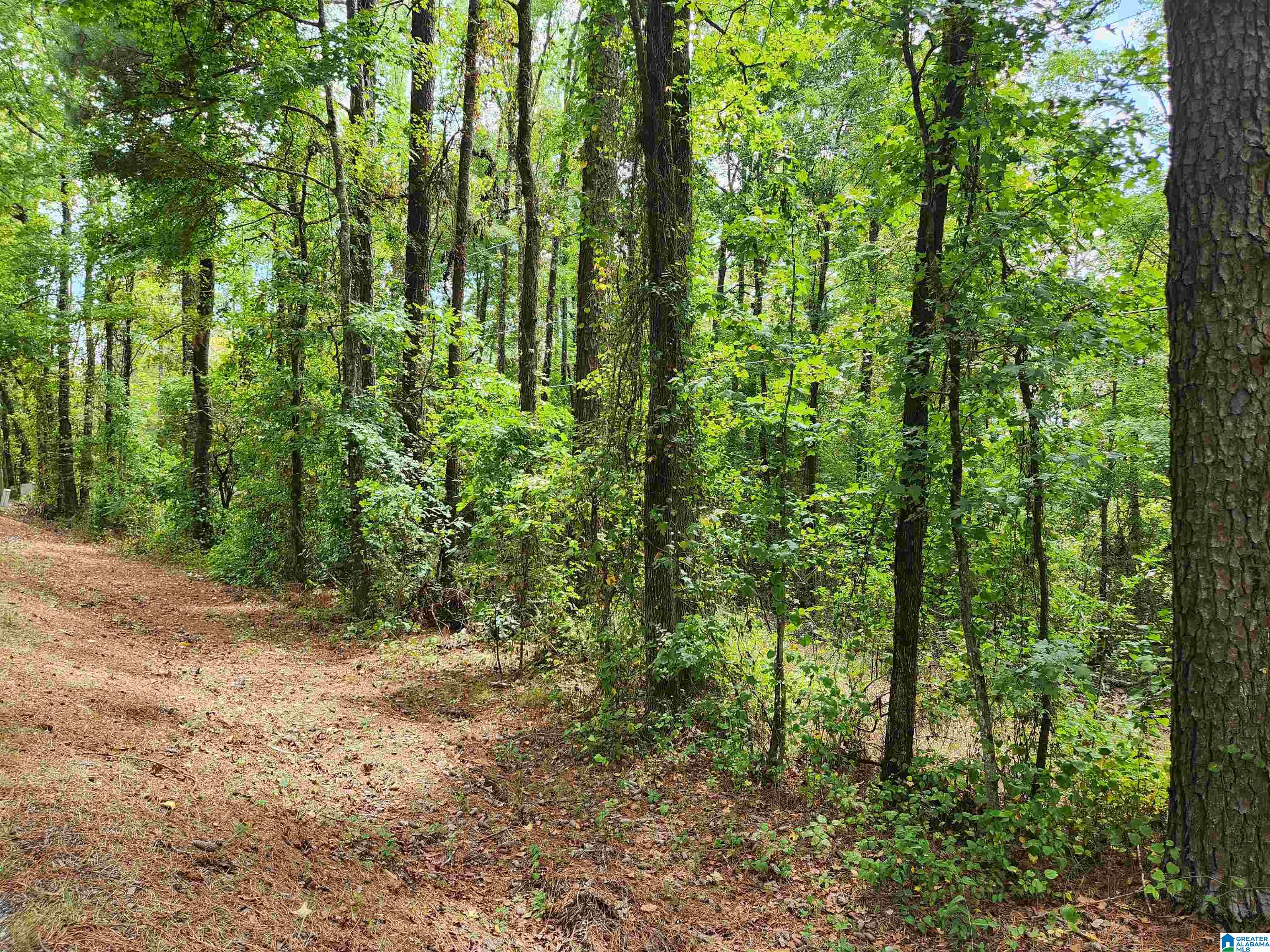 W COUNTY ROAD 10