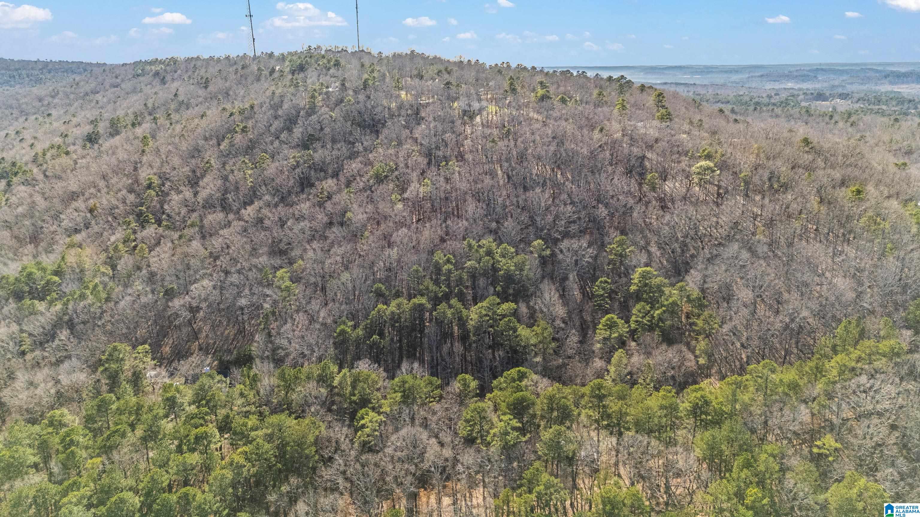 Homes for sale in Warrior, AL | 0 Country Road, Warrior, AL 35180 | MLS# 21412396