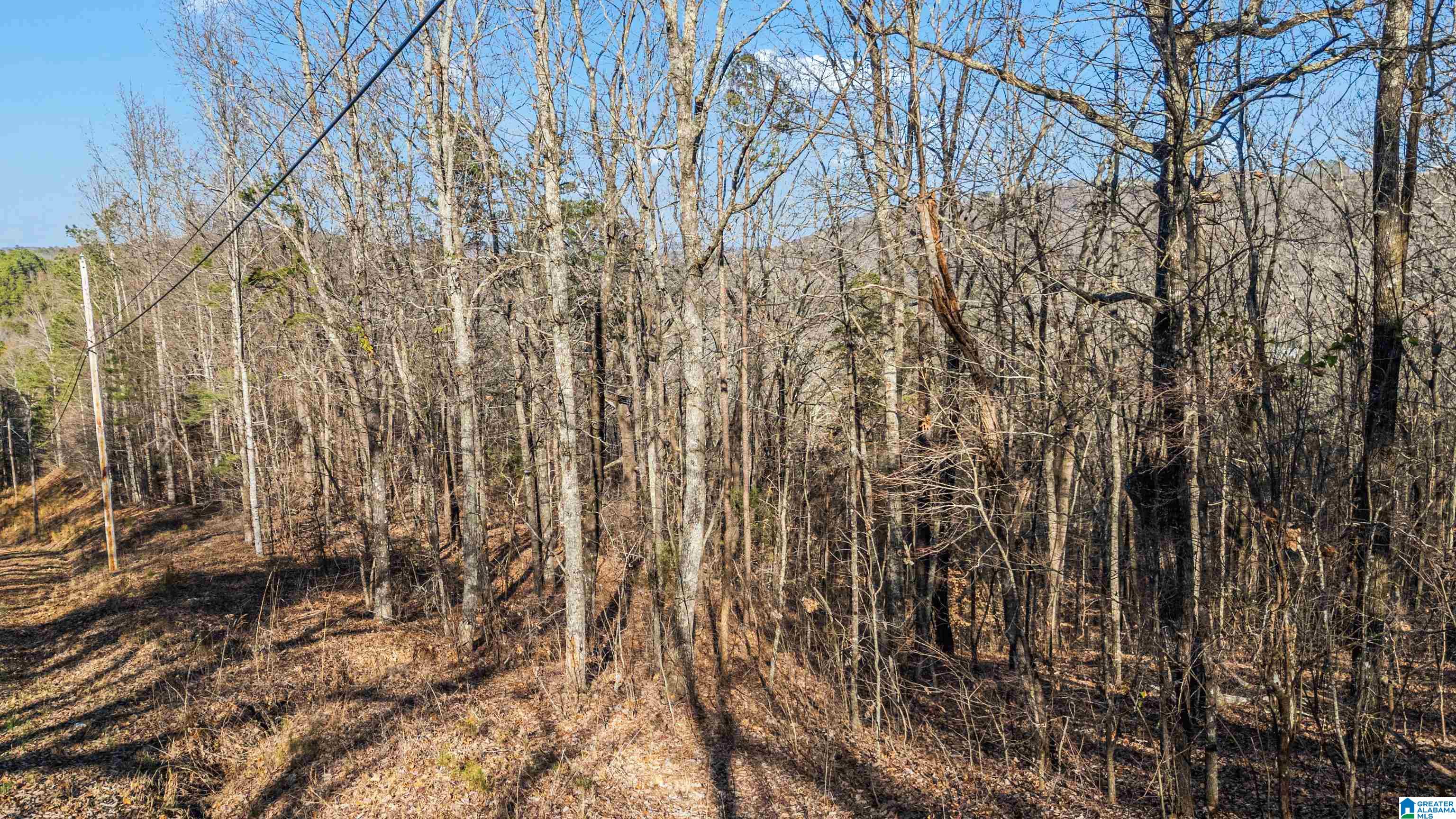 Homes for sale in Warrior, AL | 0 Country Road, Warrior, AL 35180 | MLS# 21412396