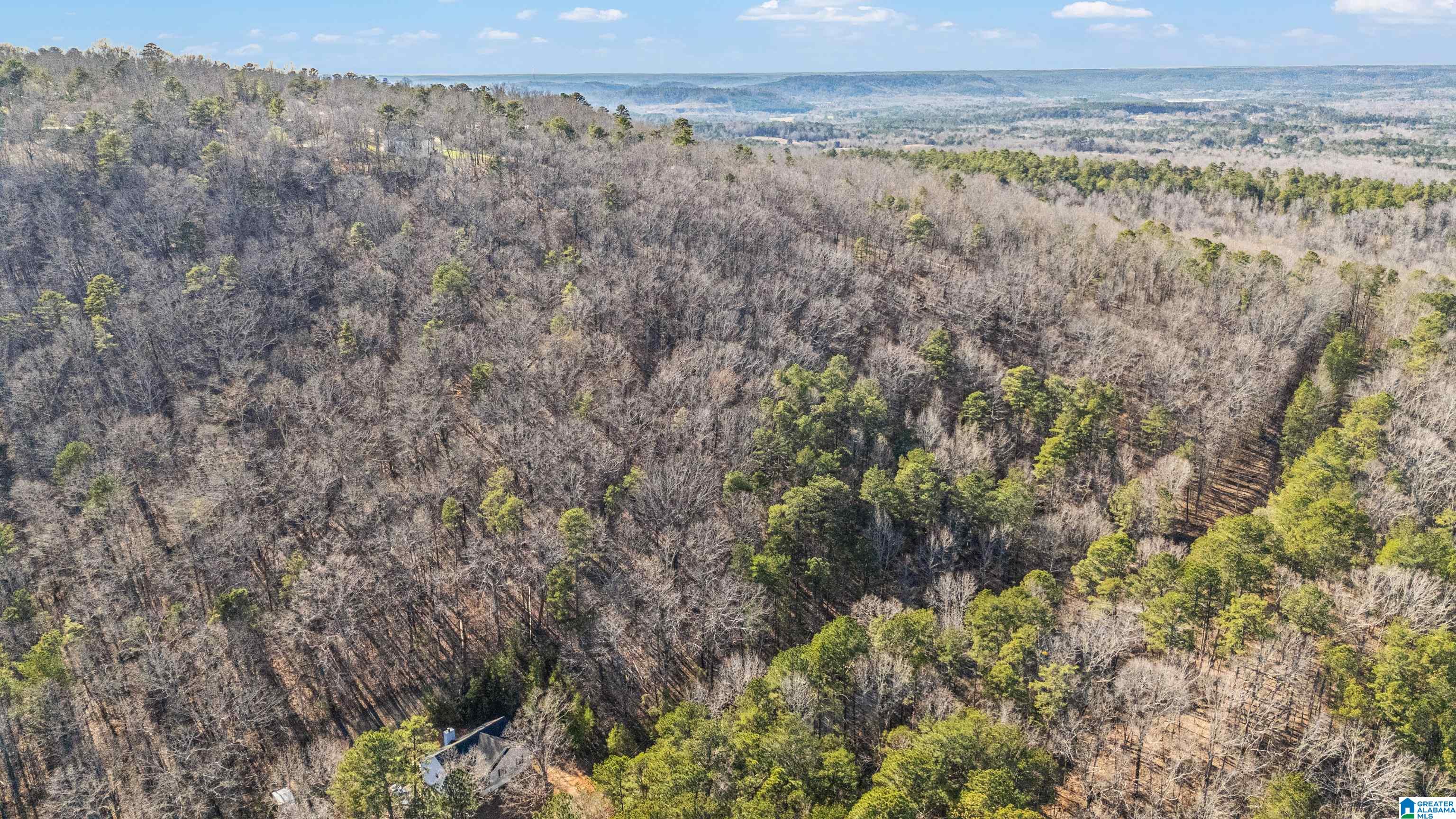 Homes for sale in Warrior, AL | 0 Country Road, Warrior, AL 35180 | MLS# 21412396