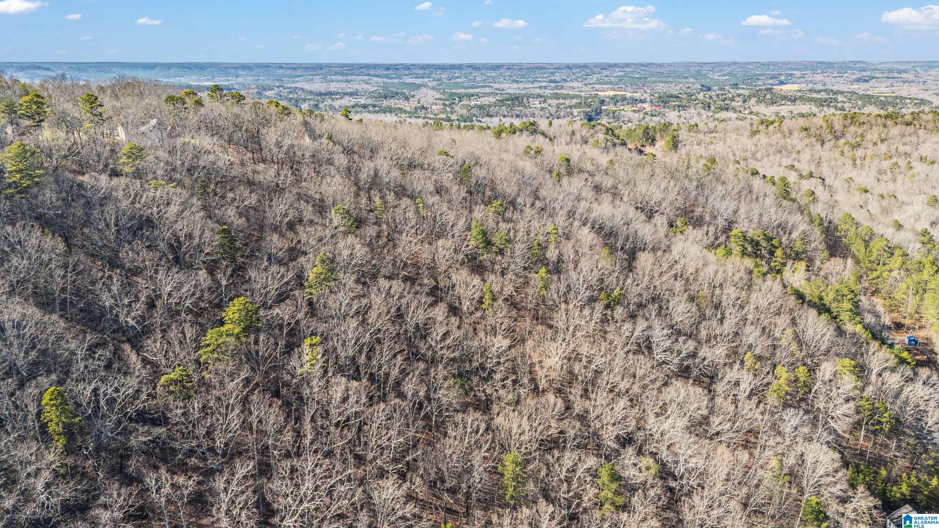 Homes for sale in Warrior, AL | 0 Country Road, Warrior, AL 35180 | MLS# 21412396