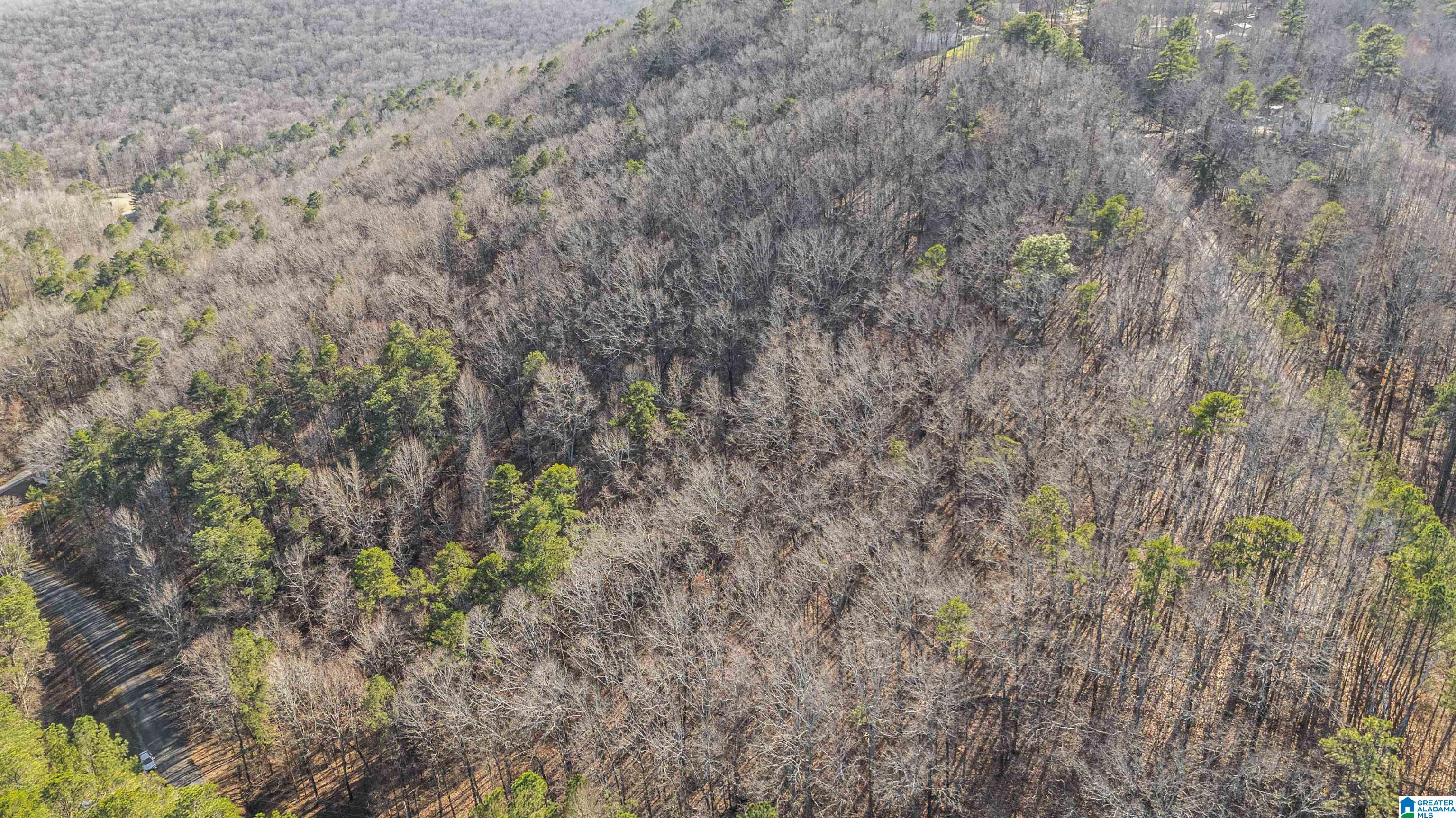 Homes for sale in Warrior, AL | 0 Country Road, Warrior, AL 35180 | MLS# 21412396