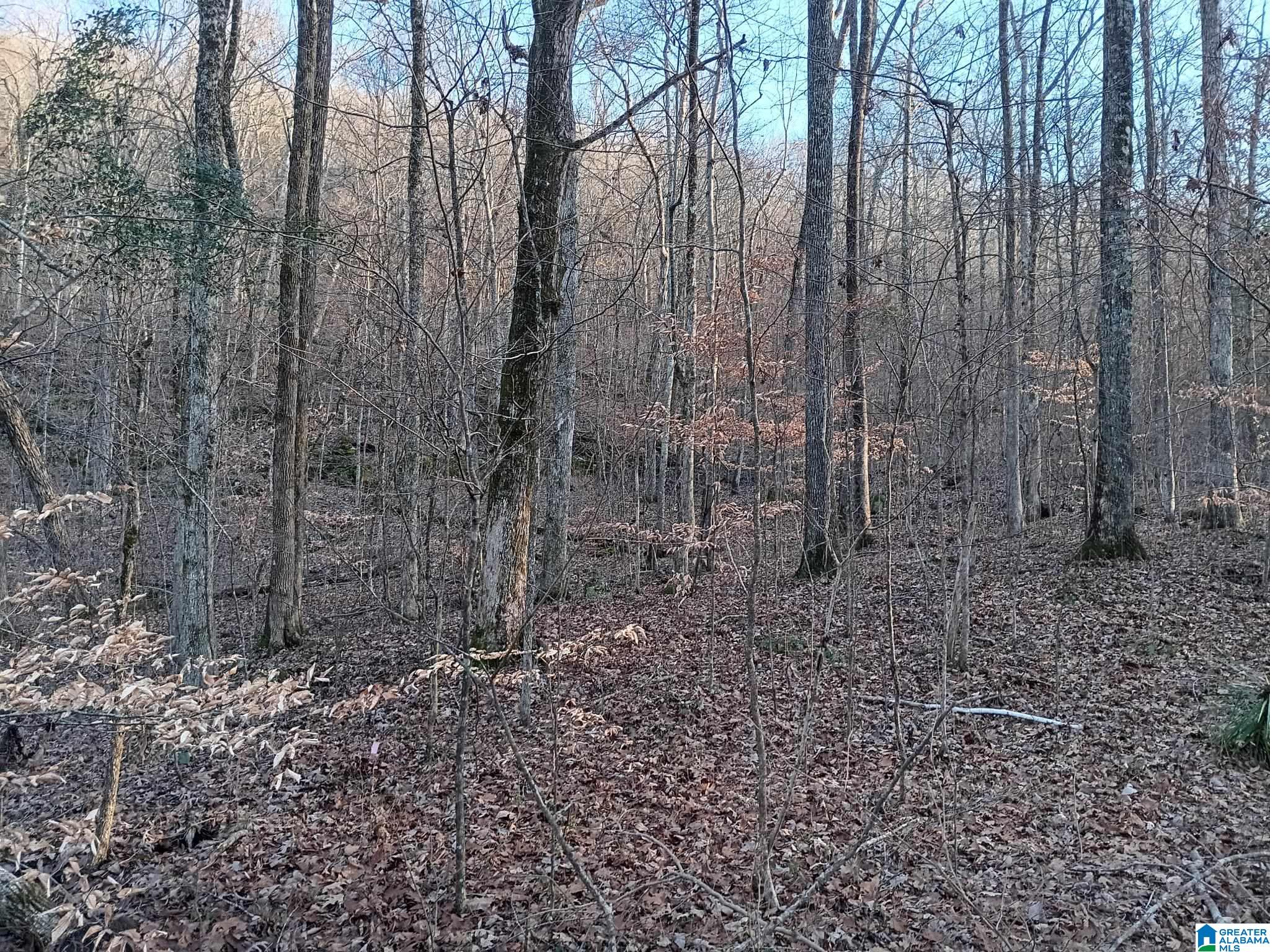 Homes for sale in Warrior, AL | 0 Valley Circle, Warrior, AL 35180 | MLS# 21412399