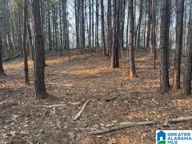 Homes for sale in Cordova, AL | 0 Stella Lockard Road, Cordova, AL 35550 | MLS# 21412499