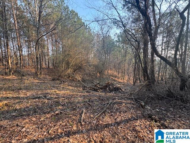 Homes for sale in Cordova, AL | 0 Stella Lockard Road, Cordova, AL 35550 | MLS# 21412499