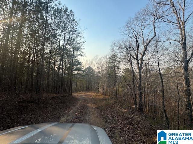 Homes for sale in Cordova, AL | 0 Stella Lockard Road, Cordova, AL 35550 | MLS# 21412499