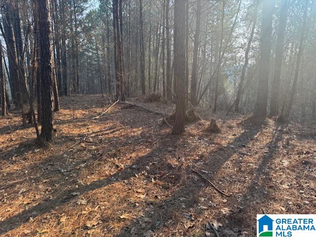 Homes for sale in Cordova, AL | 0 Stella Lockard Road, Cordova, AL 35550 | MLS# 21412499