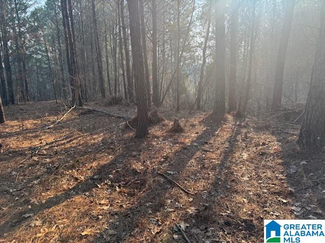 Homes for sale in Cordova, AL | 0 Stella Lockard Road, Cordova, AL 35550 | MLS# 21412499