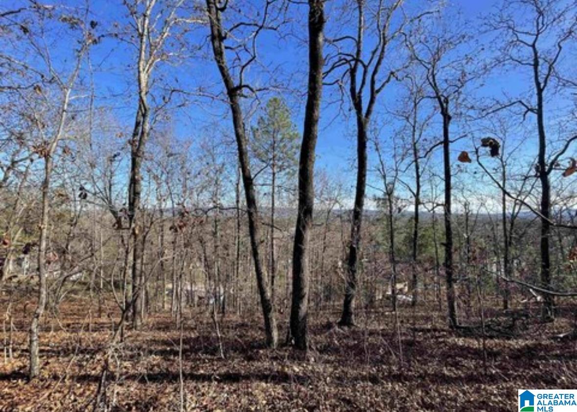 Homes for sale in Moody, AL | 1429 Hilltop Terrace, Moody, AL 35004 | MLS# 21412526