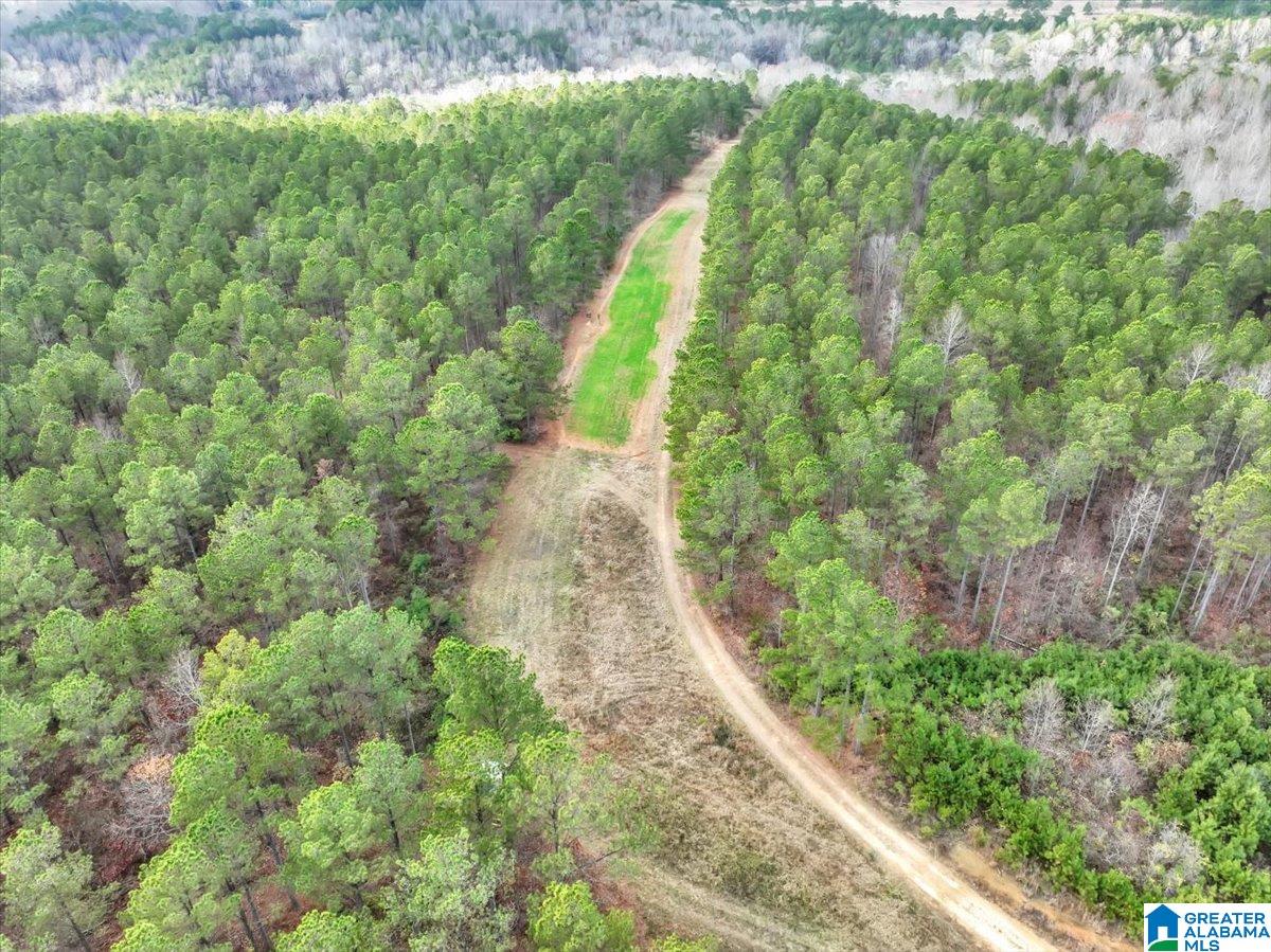 370 COUNTY ROAD 77