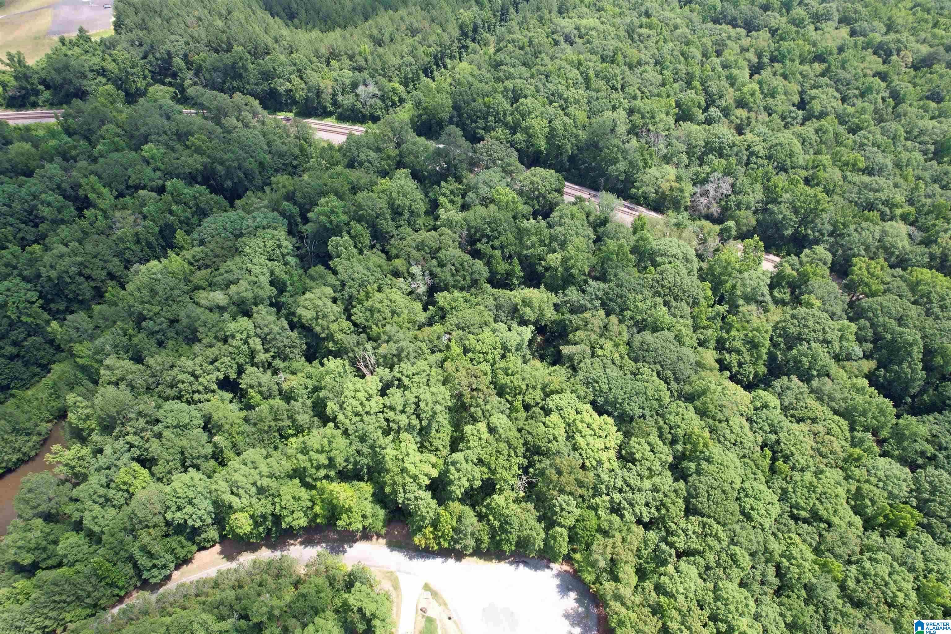 Homes for sale in Harpersville, AL | 0 Weatherton Trail, Harpersville, AL 35078 | MLS# 21412658