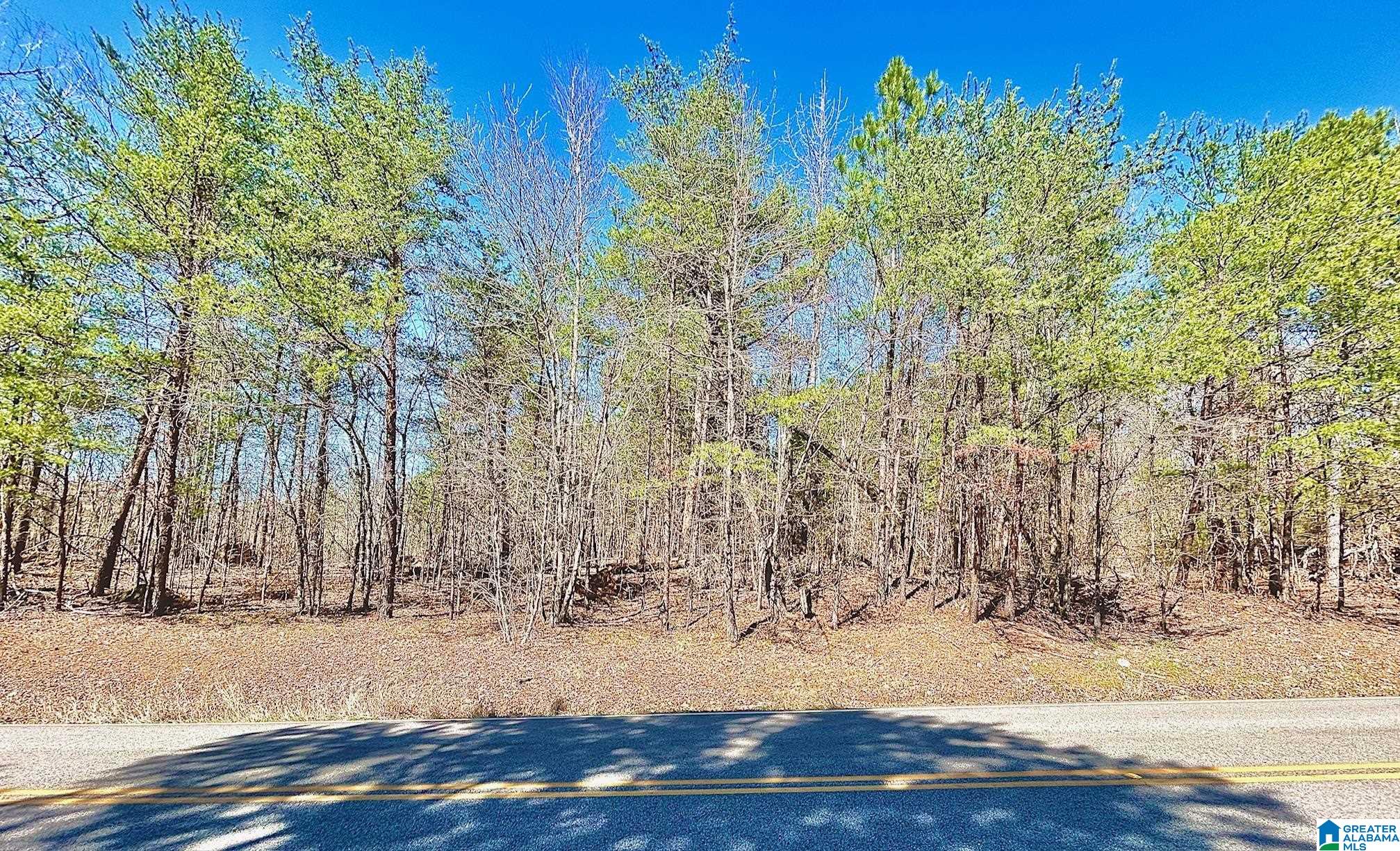 Homes for sale in Warrior, AL | 1786 Warrior Trafford Road, Warrior, AL 35180 | MLS# 21412927