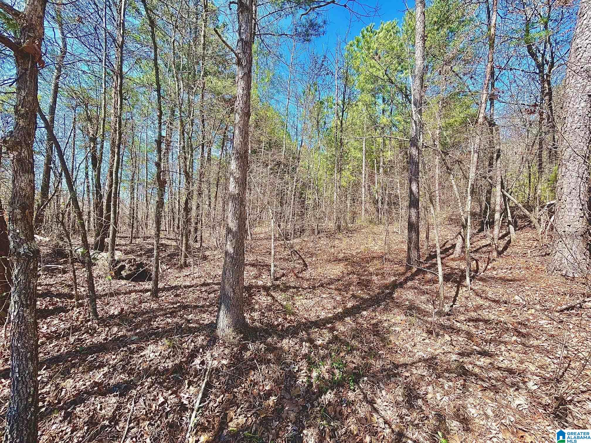 Homes for sale in Warrior, AL | 1786 Warrior Trafford Road, Warrior, AL 35180 | MLS# 21412927