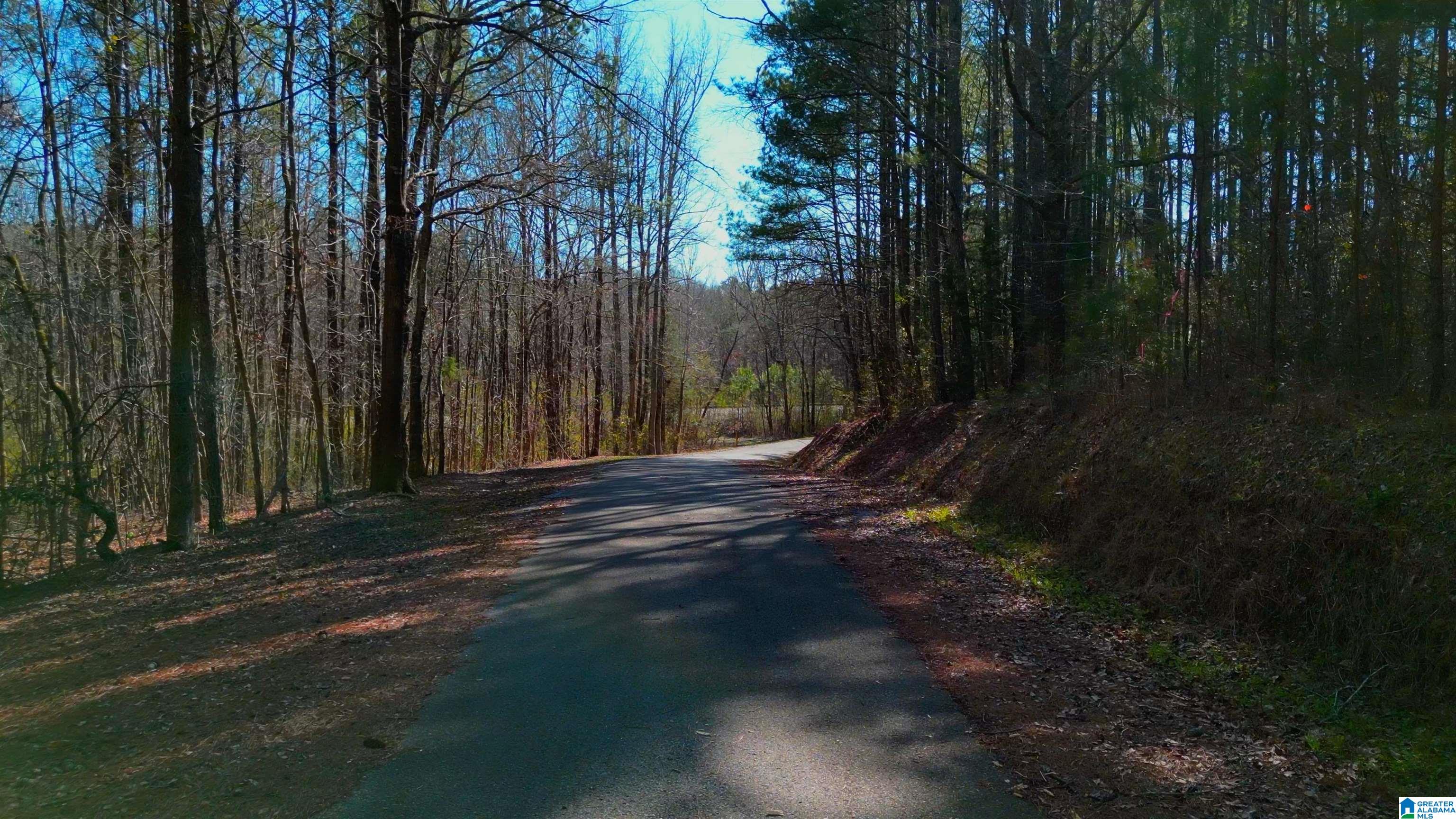 Homes for sale in Chelsea, AL | 130 Mountain Crest Road, Chelsea, AL 35043 | MLS# 21413032