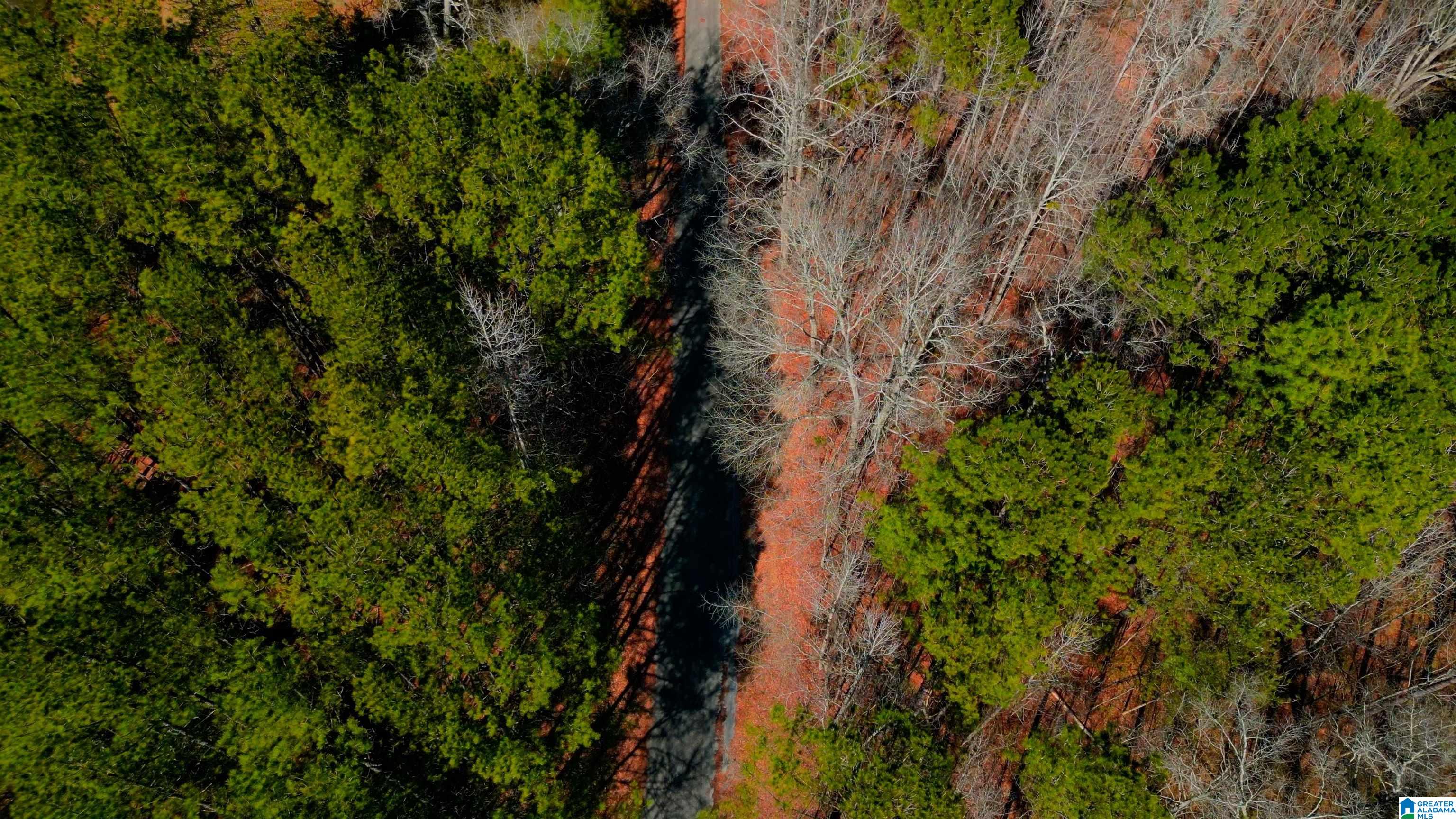 Homes for sale in Chelsea, AL | 130 Mountain Crest Road, Chelsea, AL 35043 | MLS# 21413032