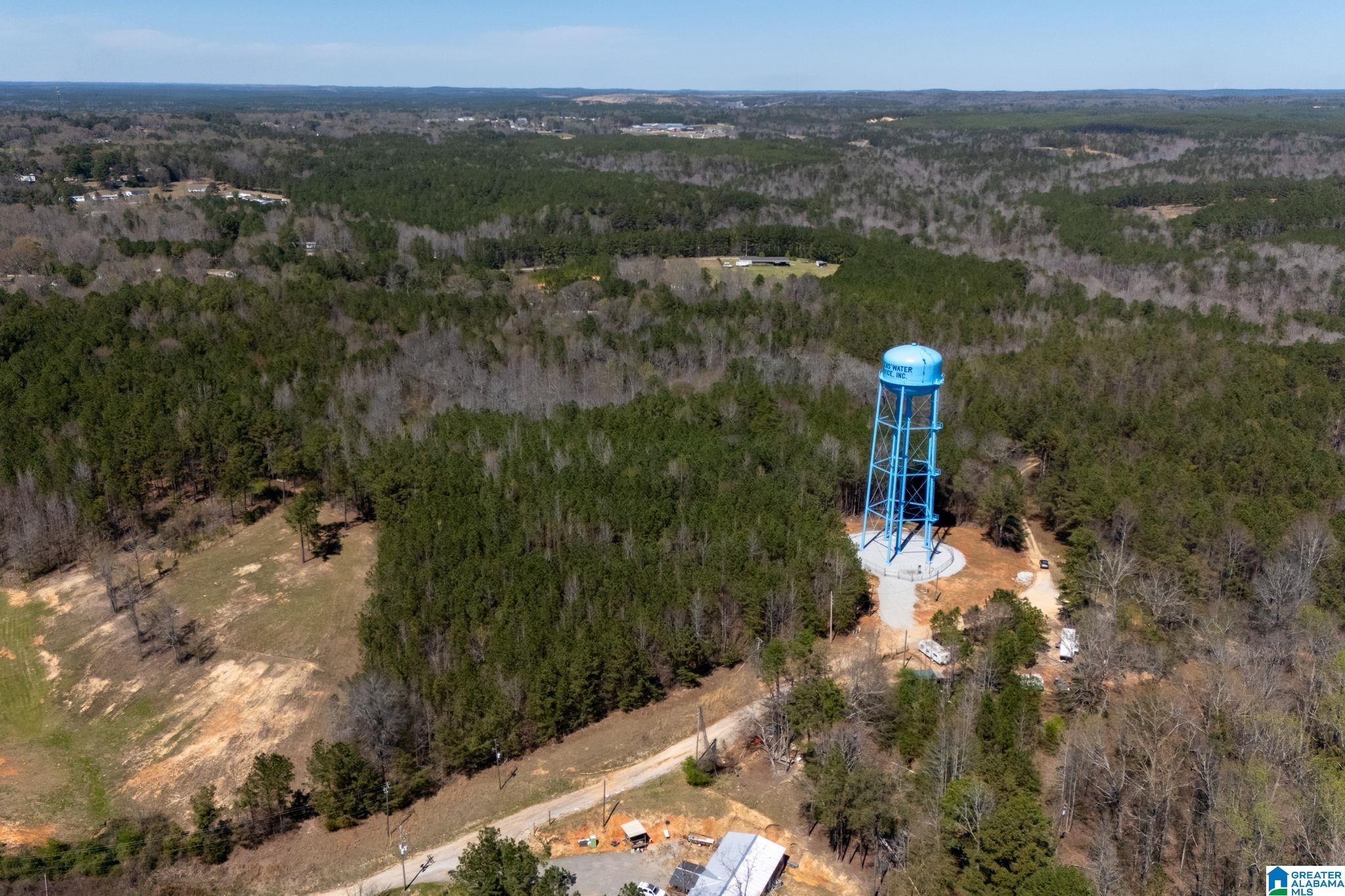 Homes for sale in Brookwood, AL | 16082 House Road, Brookwood, AL 35444 | MLS# 21413419