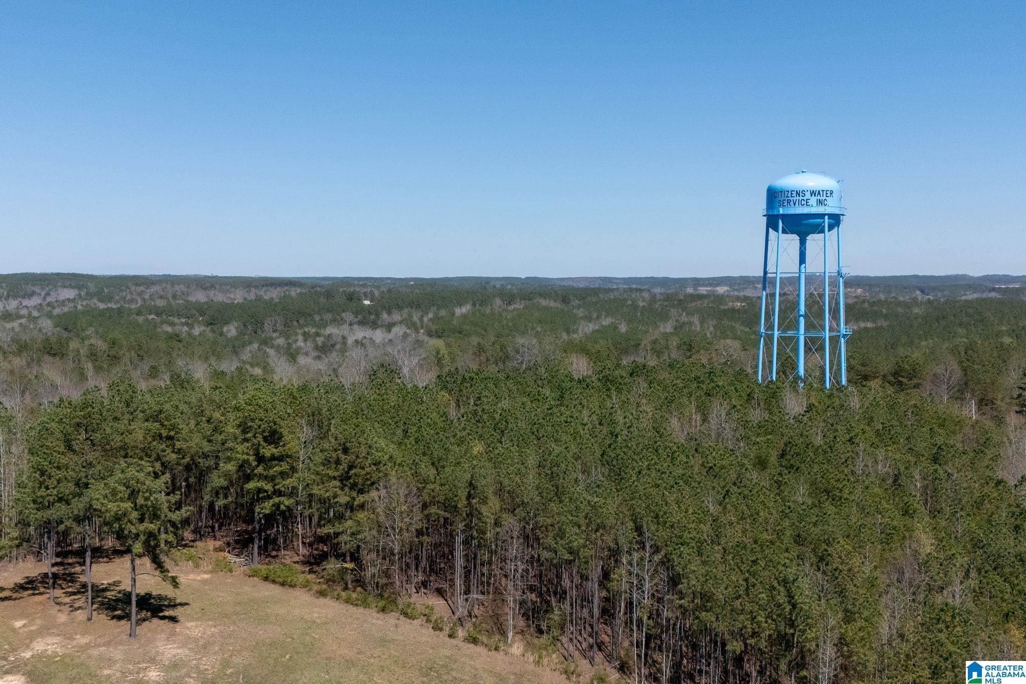 Homes for sale in Brookwood, AL | 16082 House Road, Brookwood, AL 35444 | MLS# 21413419