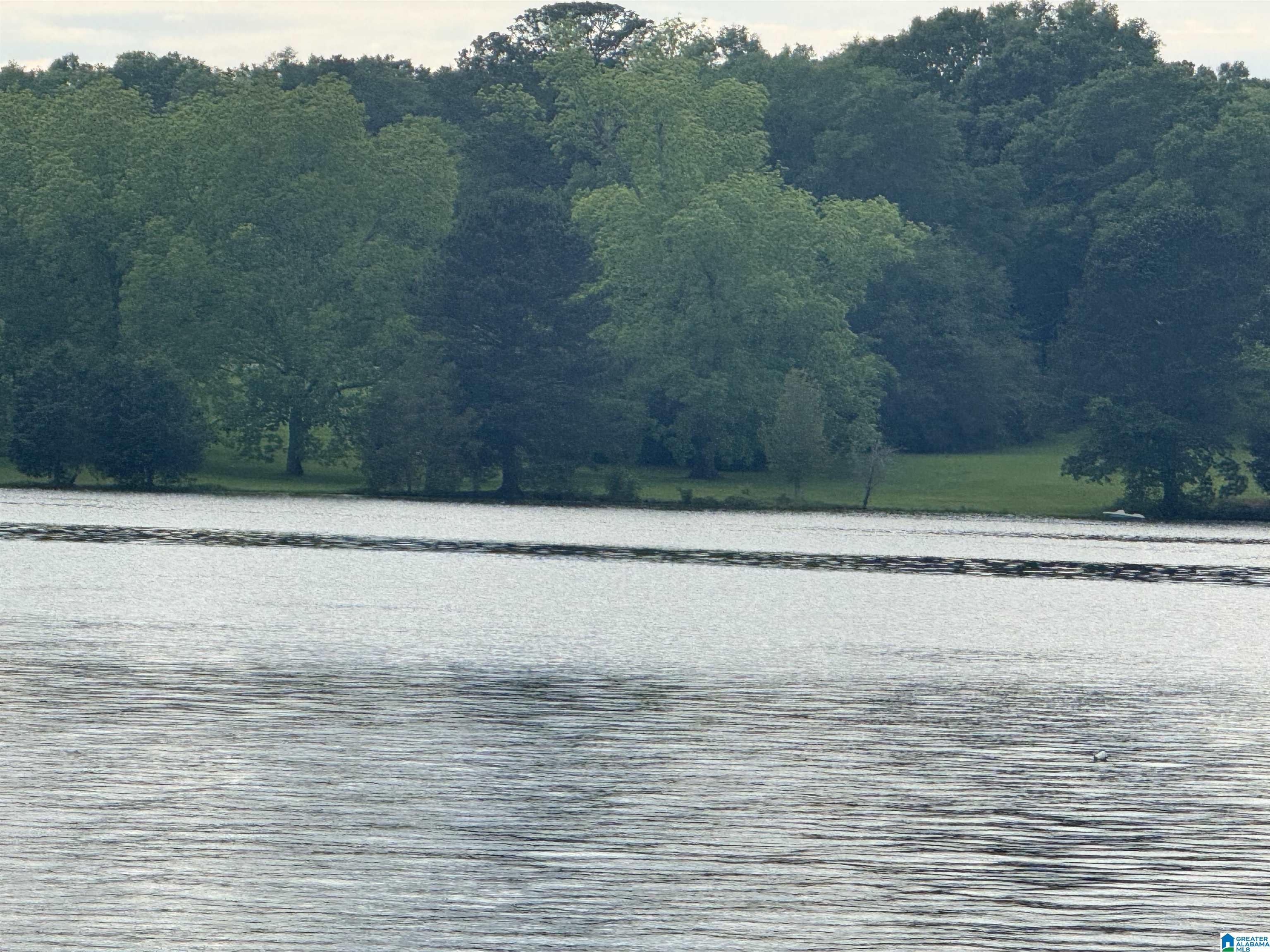 Homes for sale in Vincent, AL | 67 Coves Dr, Vincent, AL 35178 | MLS# 21413521