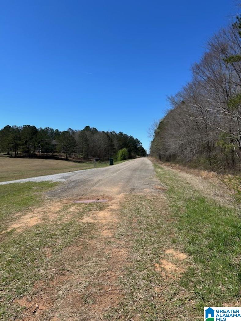 Homes for sale in Mccalla, AL | Cathedral Lane, Mccalla, AL 35111 | MLS# 21413575