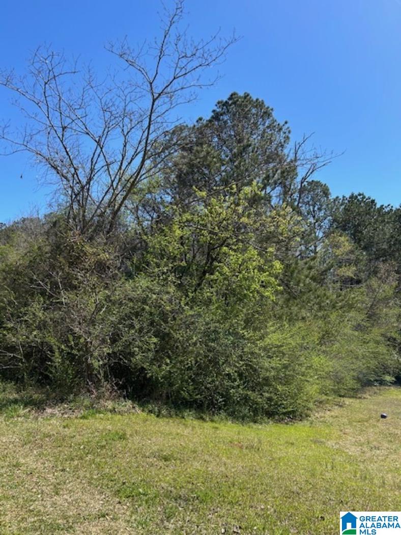 Homes for sale in Mccalla, AL | Cathedral Lane, Mccalla, AL 35111 | MLS# 21413575