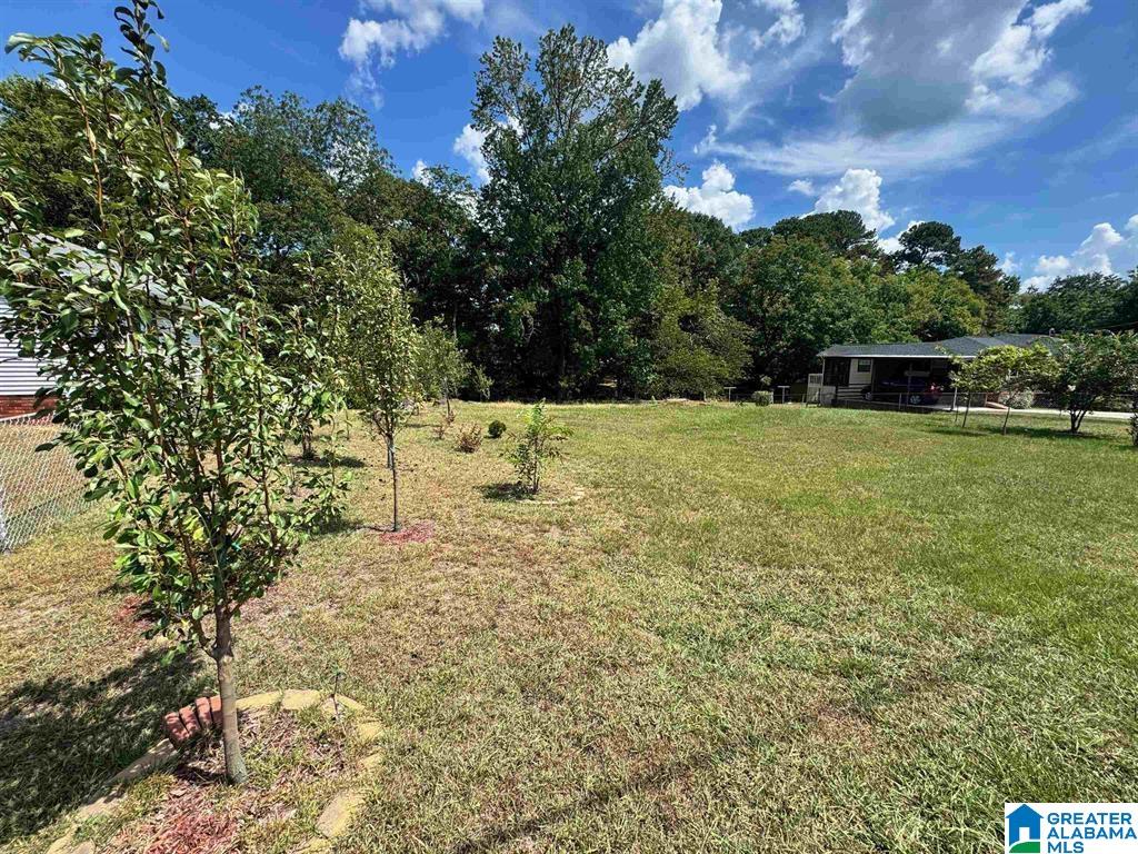 Homes for sale in Gardendale, AL | 1031 Mount Olive Avenue, Gardendale, AL 35071 | MLS# 21413595