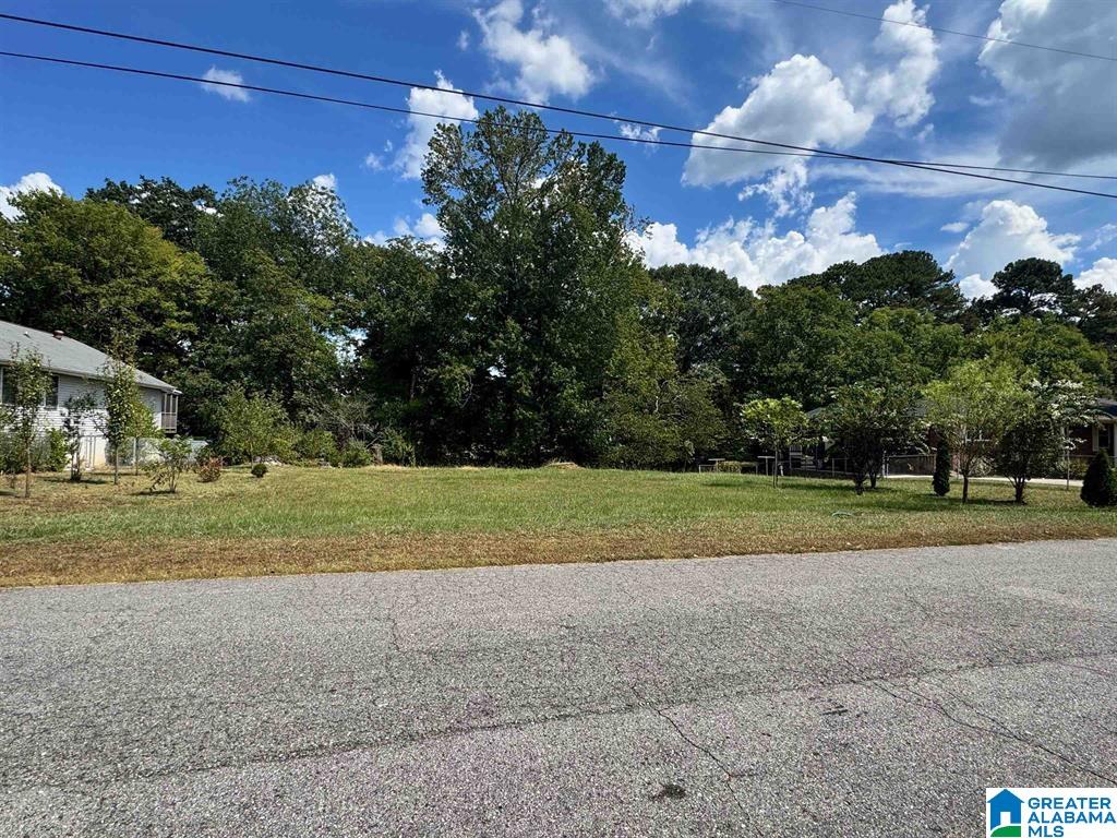 Homes for sale in Gardendale, AL | 1031 Mount Olive Avenue, Gardendale, AL 35071 | MLS# 21413595