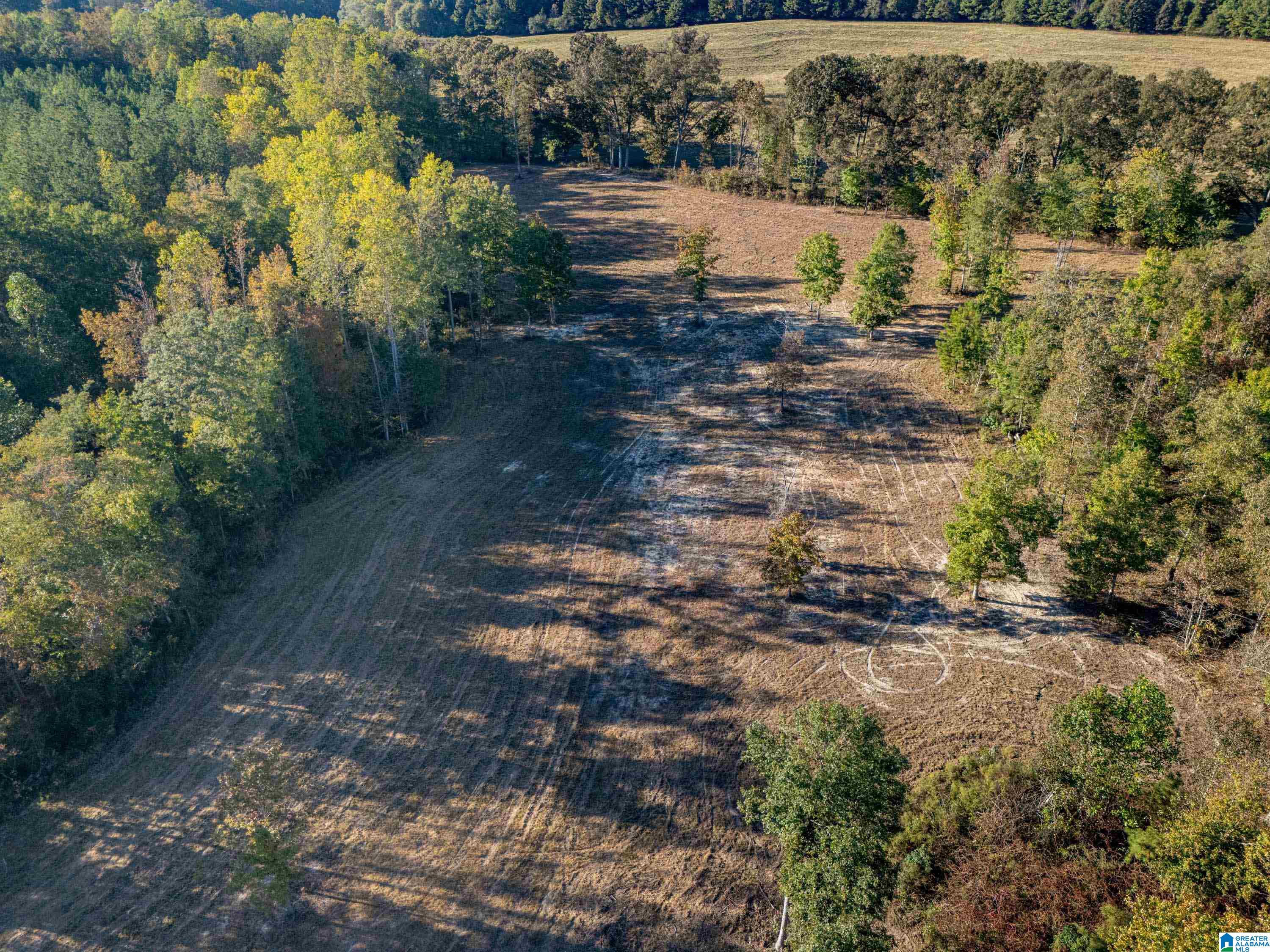 14381 County Road 66 0